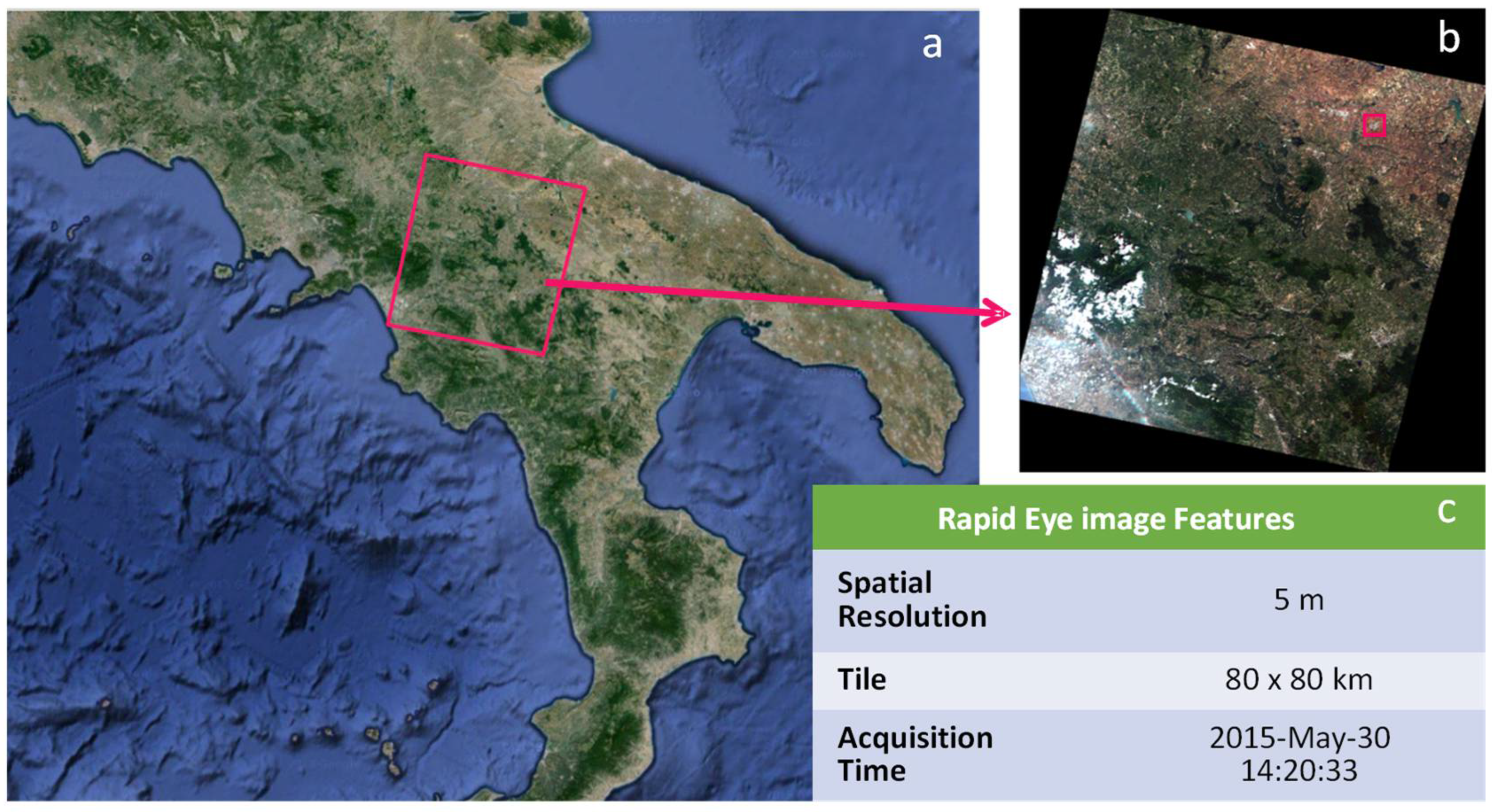 Agronomy 12 00597 g005