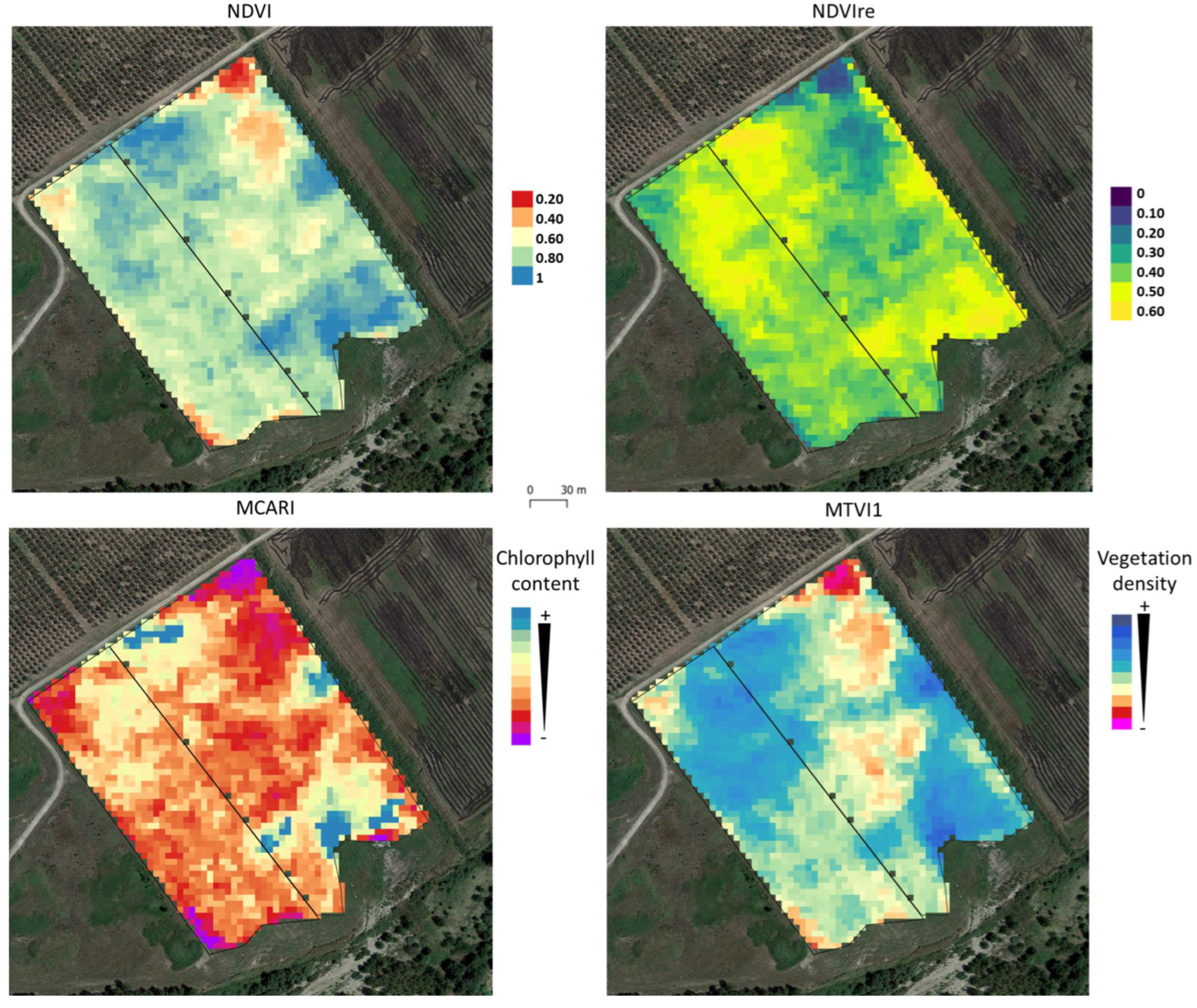 Agronomy 12 00597 g010