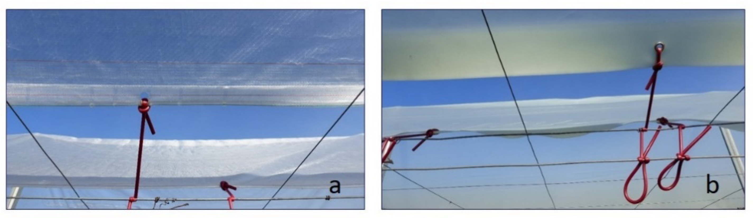 Agronomy 12 00600 g002