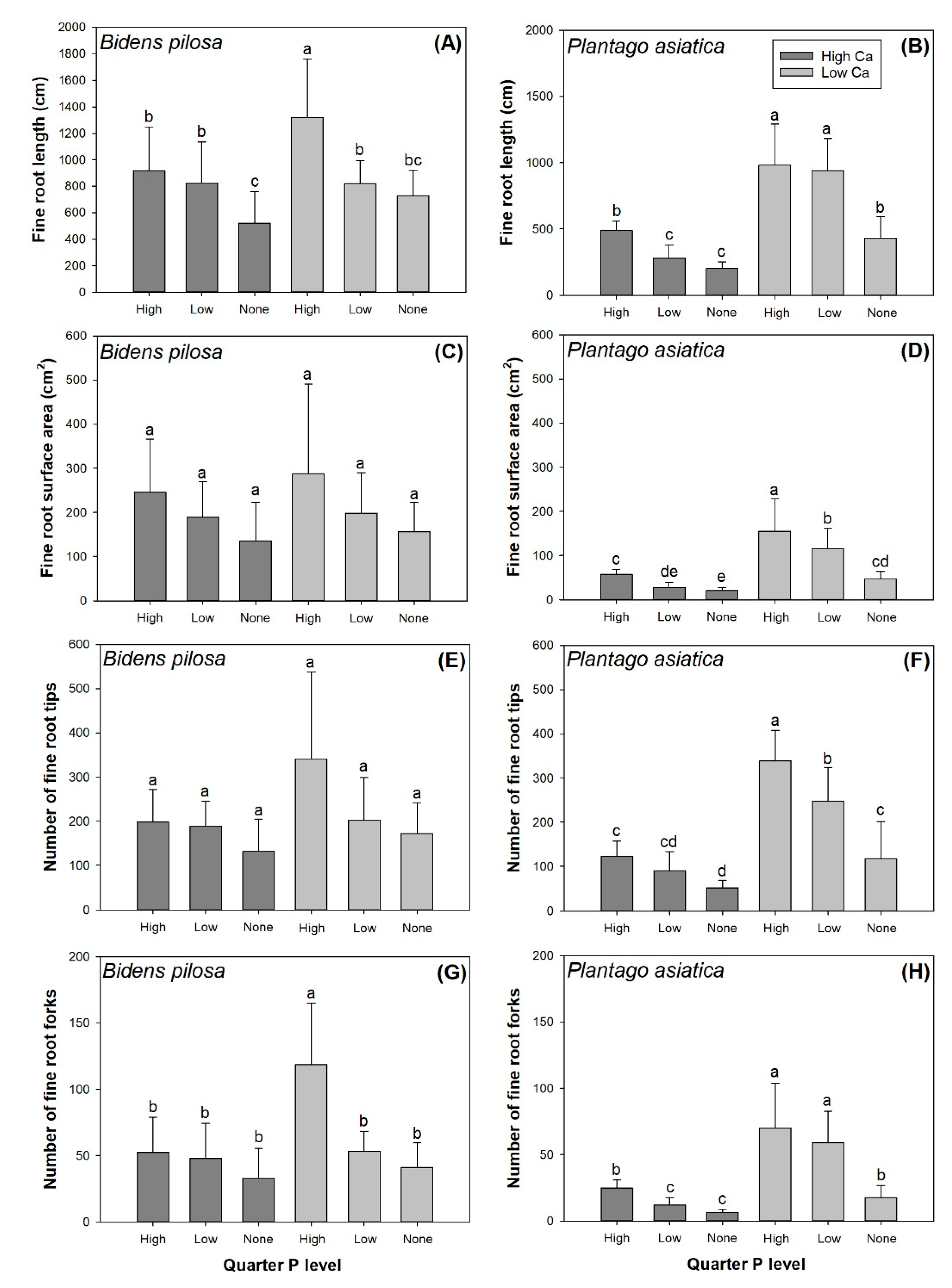Agronomy 12 00624 g002