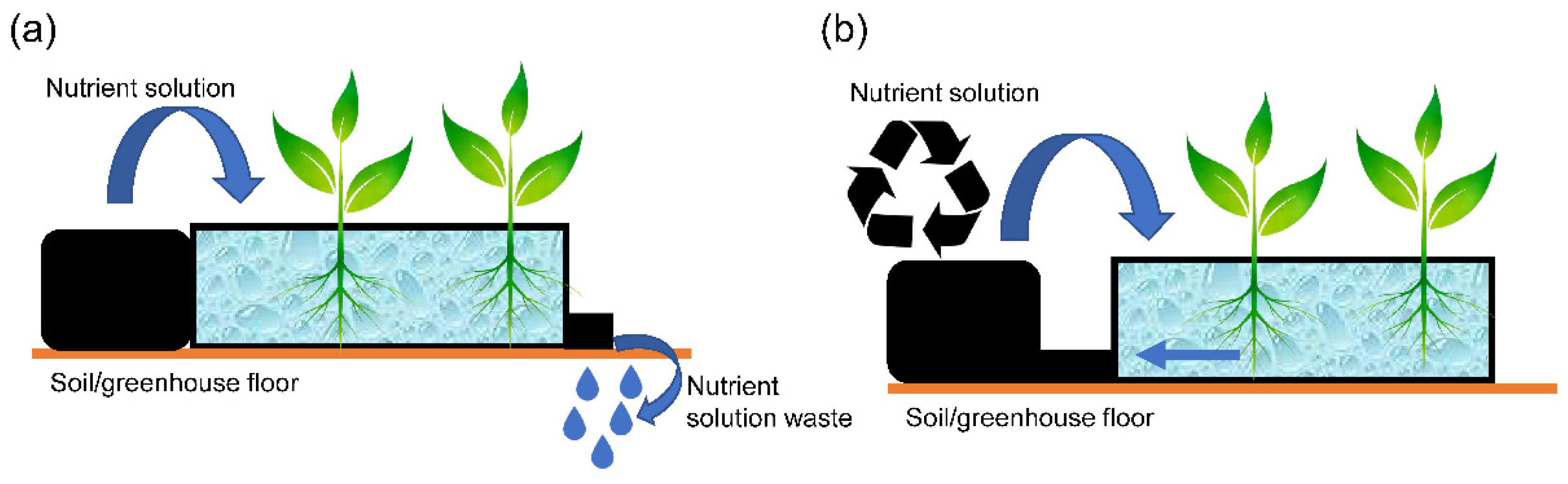 Agronomy 12 00644 g001 Agronomy 12 00644 g001