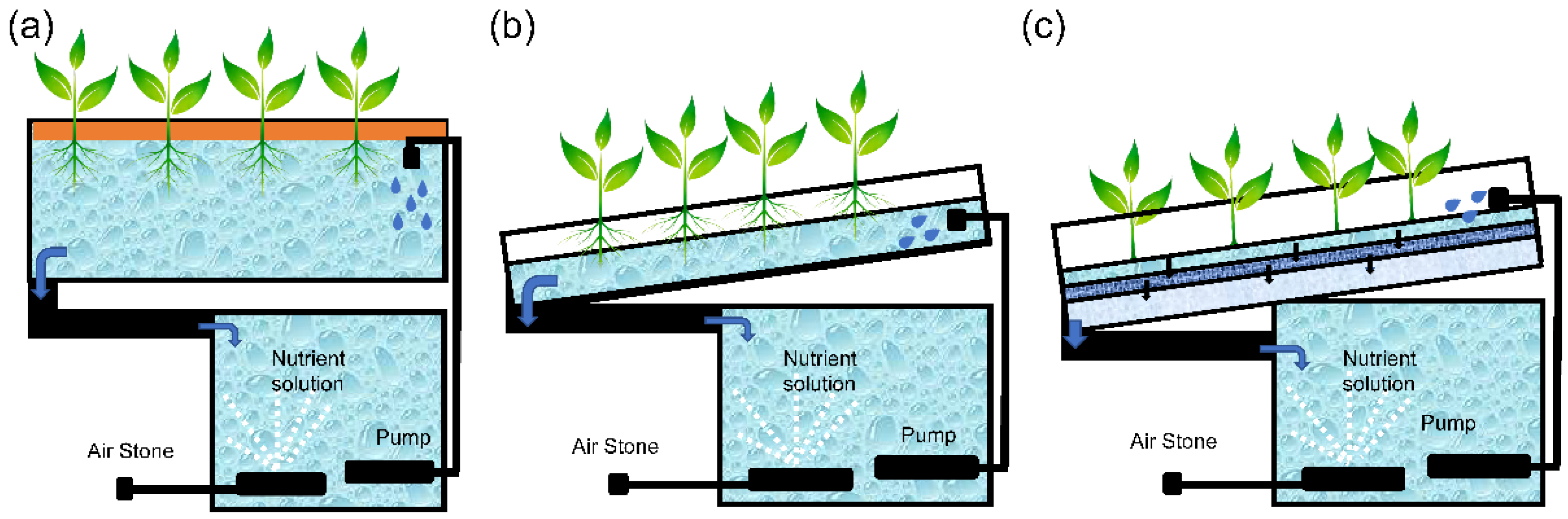 Agronomy 12 00644 g003 Agronomy 12 00644 g003