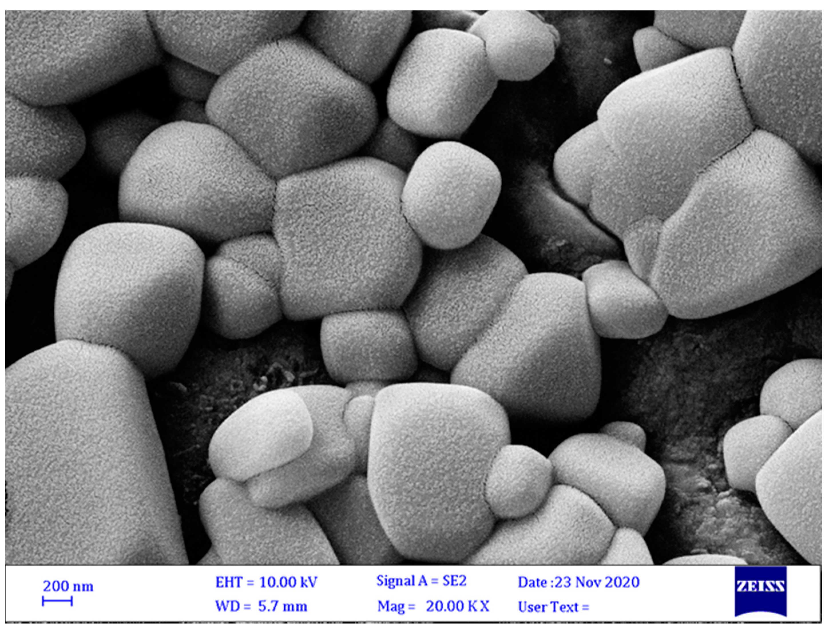 Agronomy 12 00655 g002 Agronomy 12 00655 g002