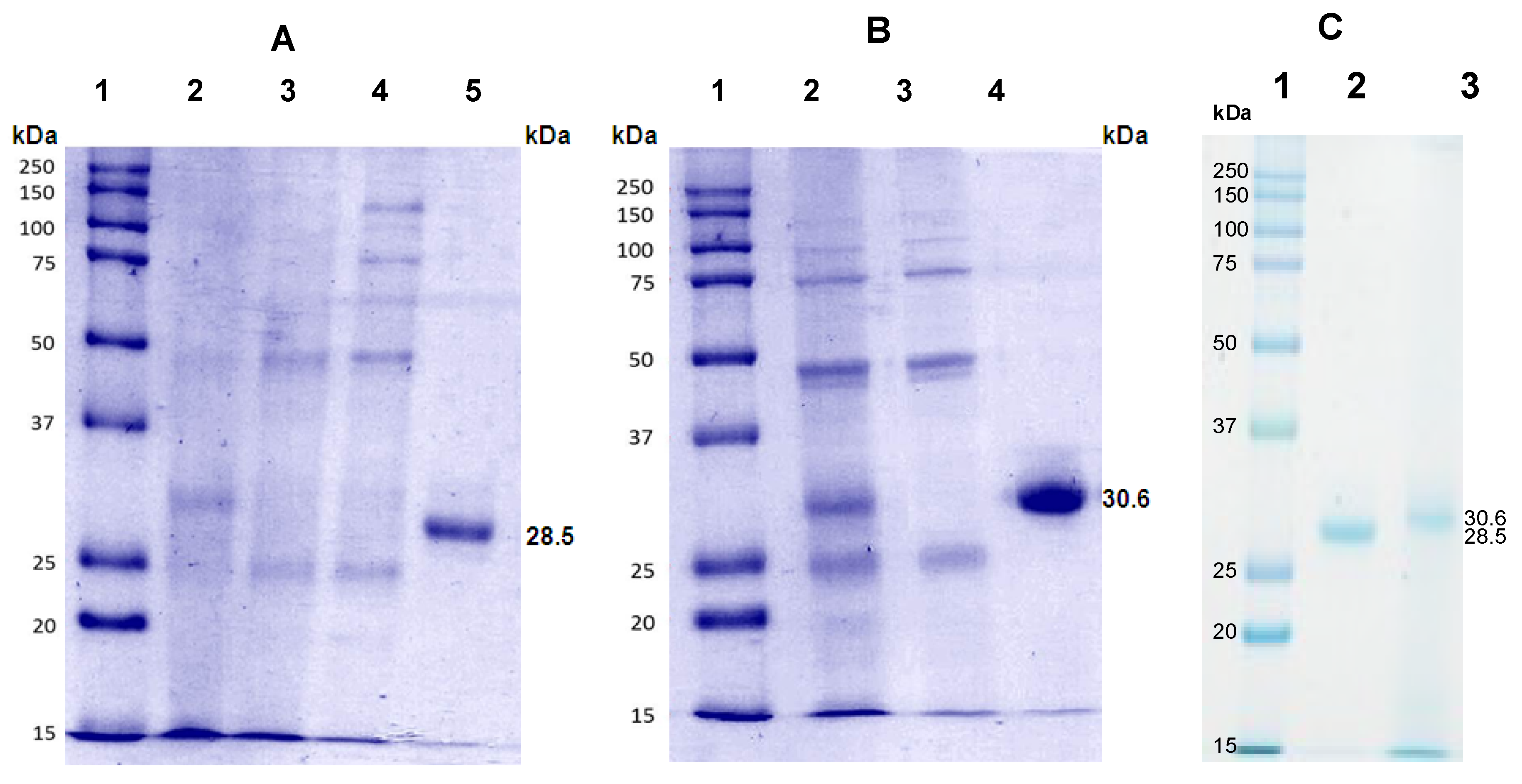 Agronomy 12 00716 g002 Agronomy 12 00716 g002