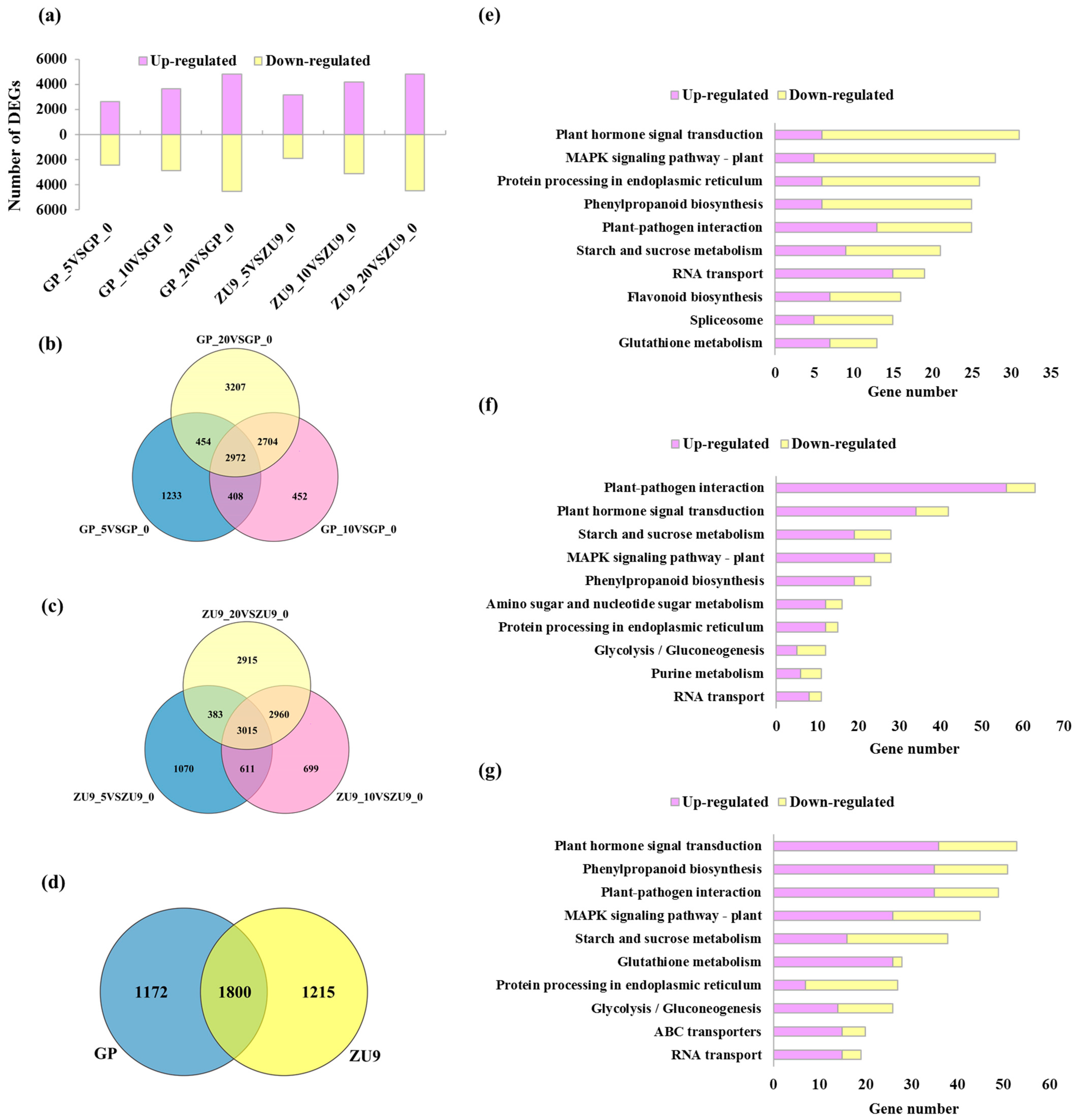 Agronomy 12 00749 g002