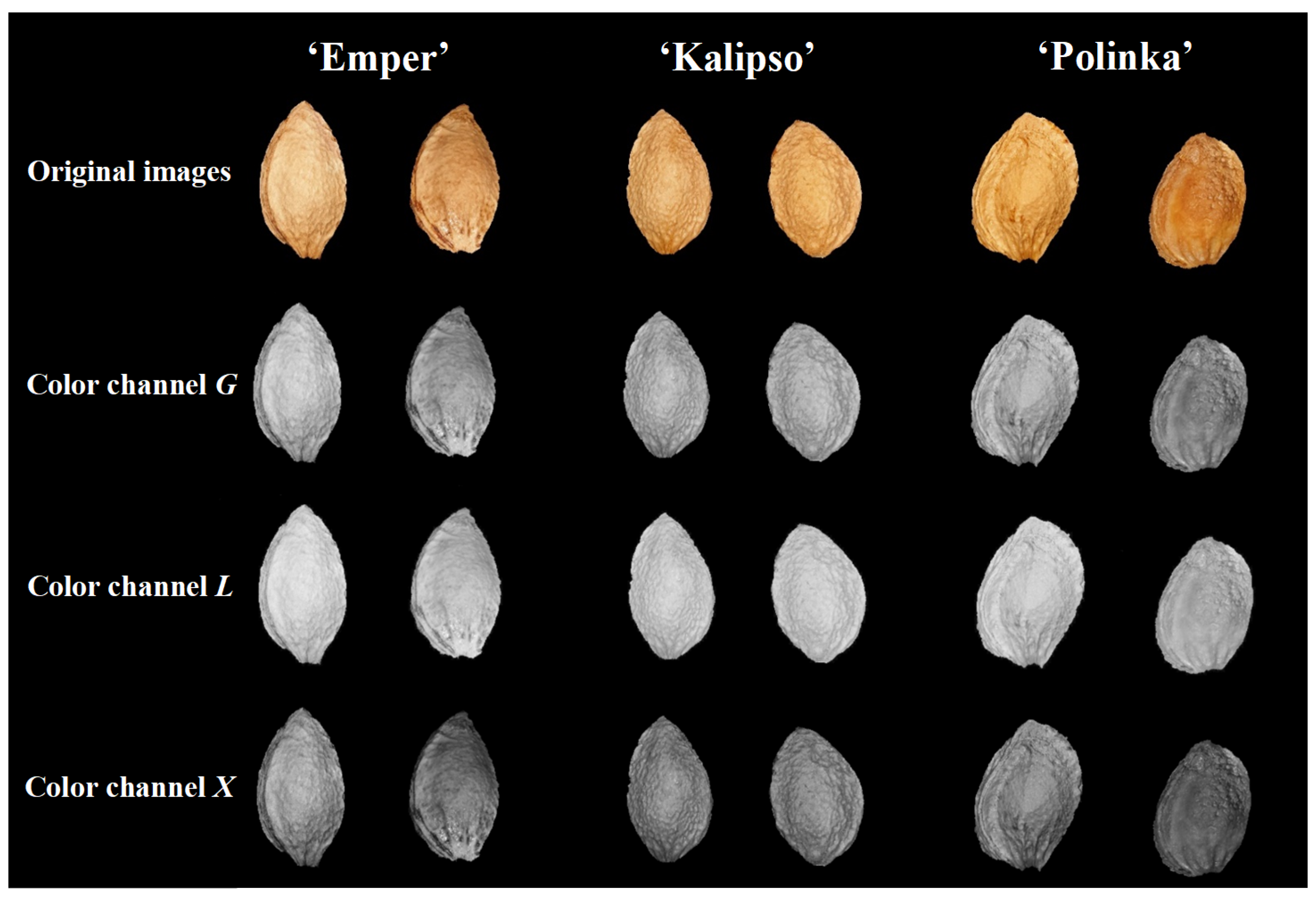 Agronomy 12 00762 g002