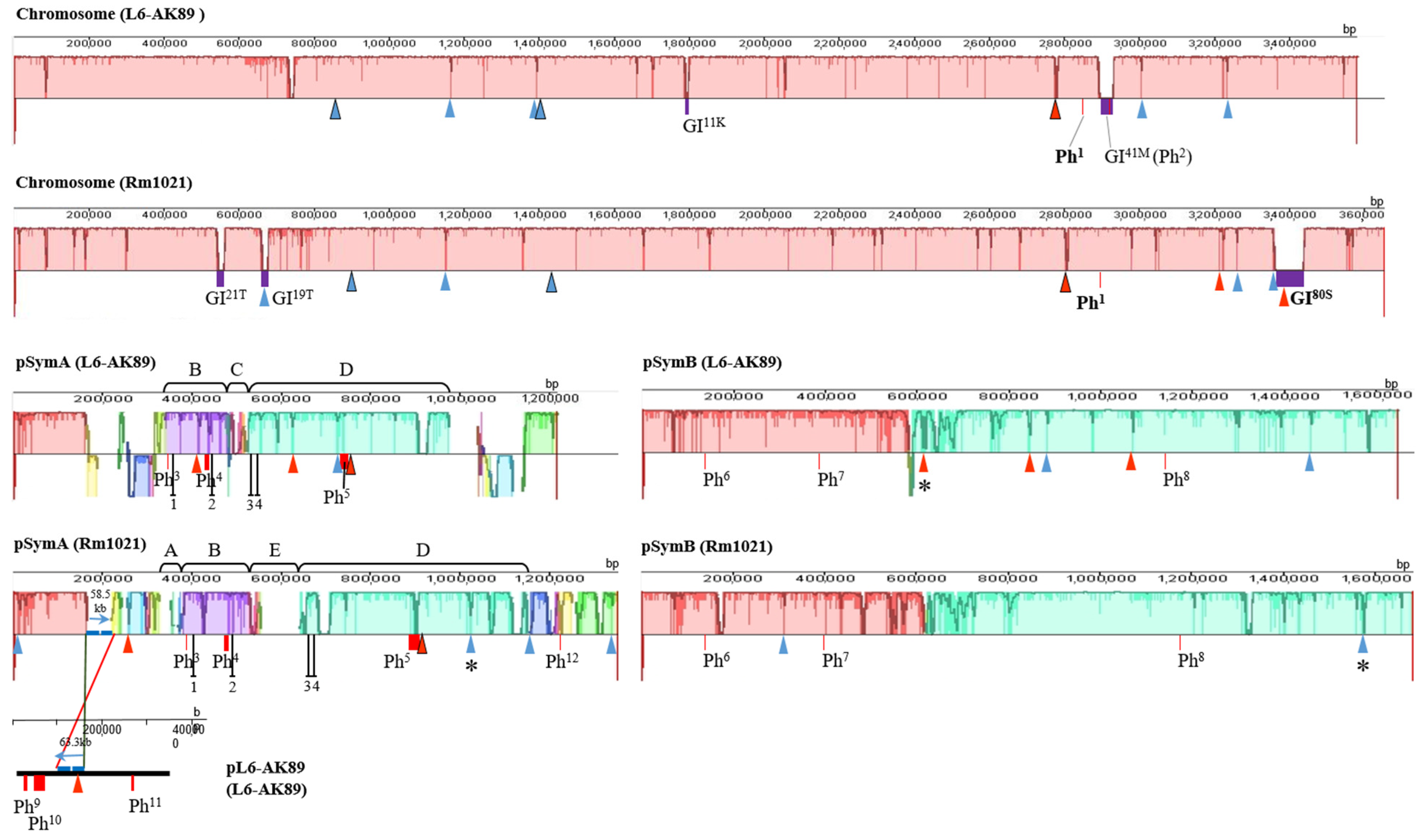 Agronomy 12 00766 g002