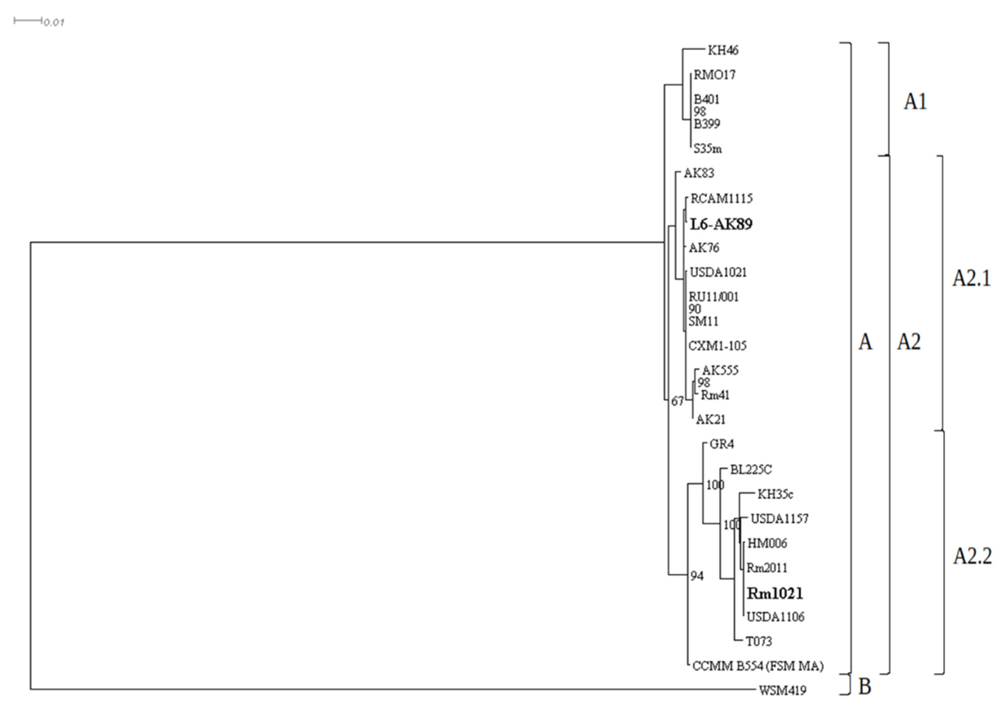Agronomy 12 00766 g005