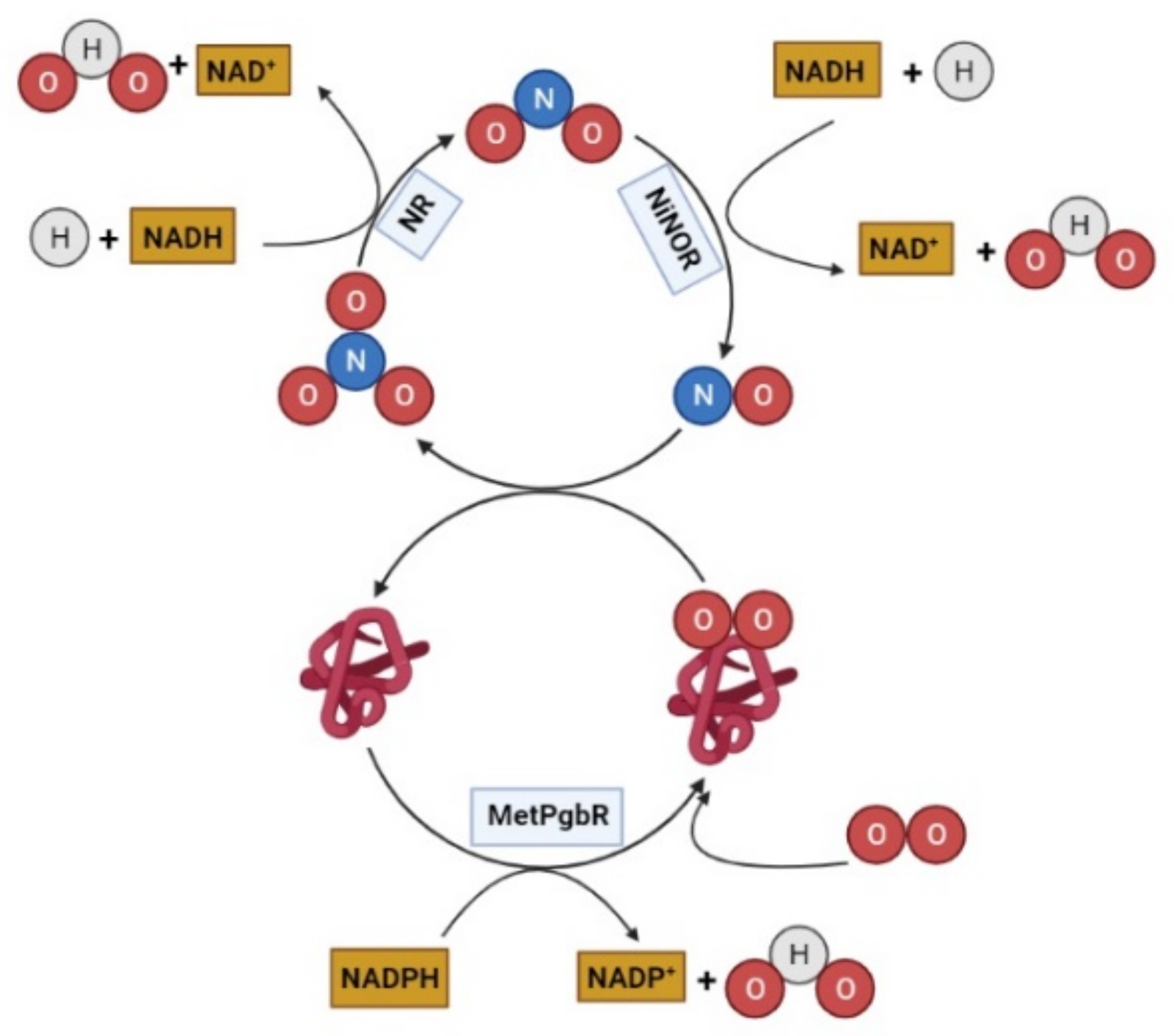 Agronomy 12 00780 g002