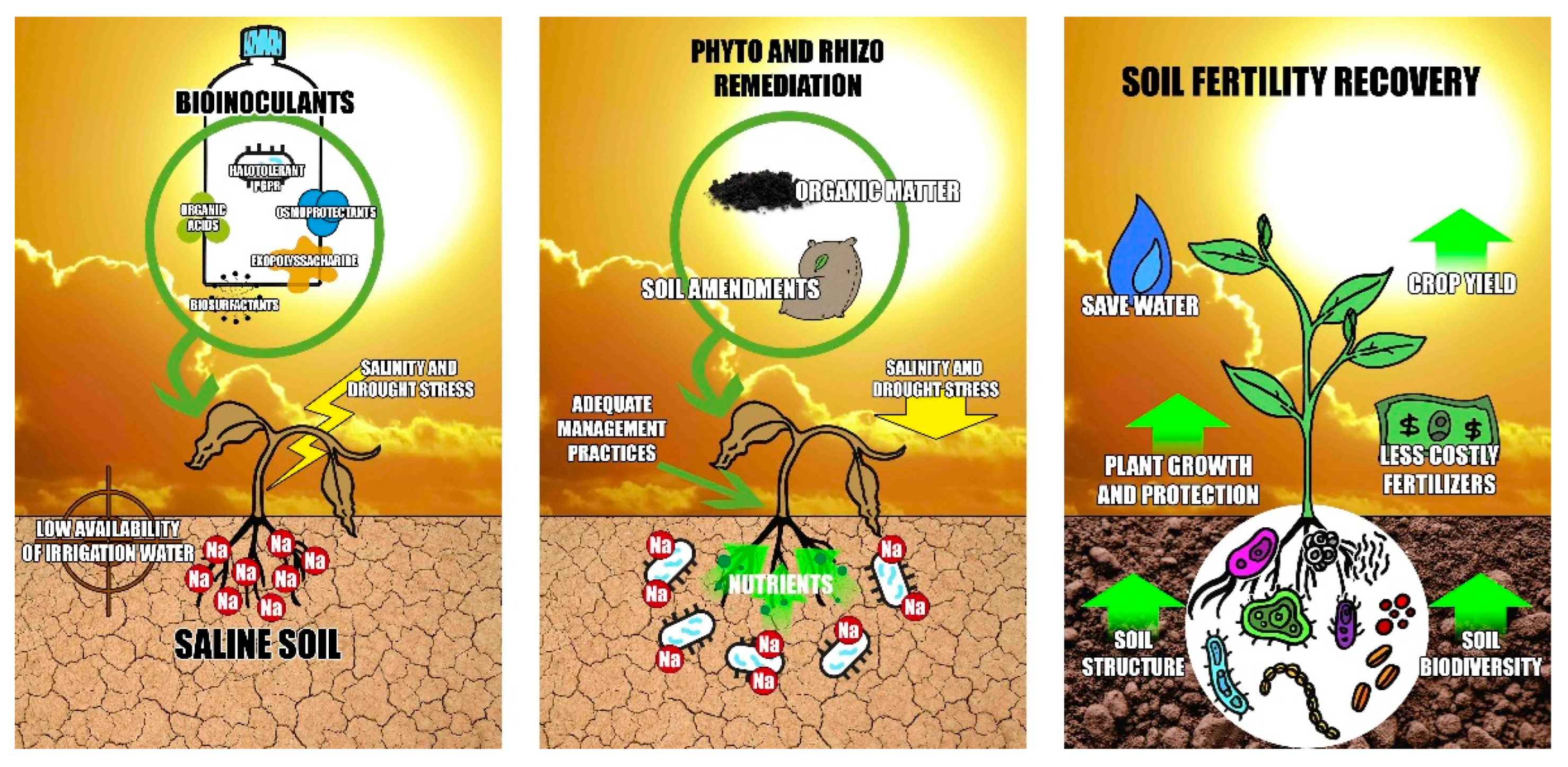 Agronomy 12 00804 g002 Agronomy 12 00804 g002