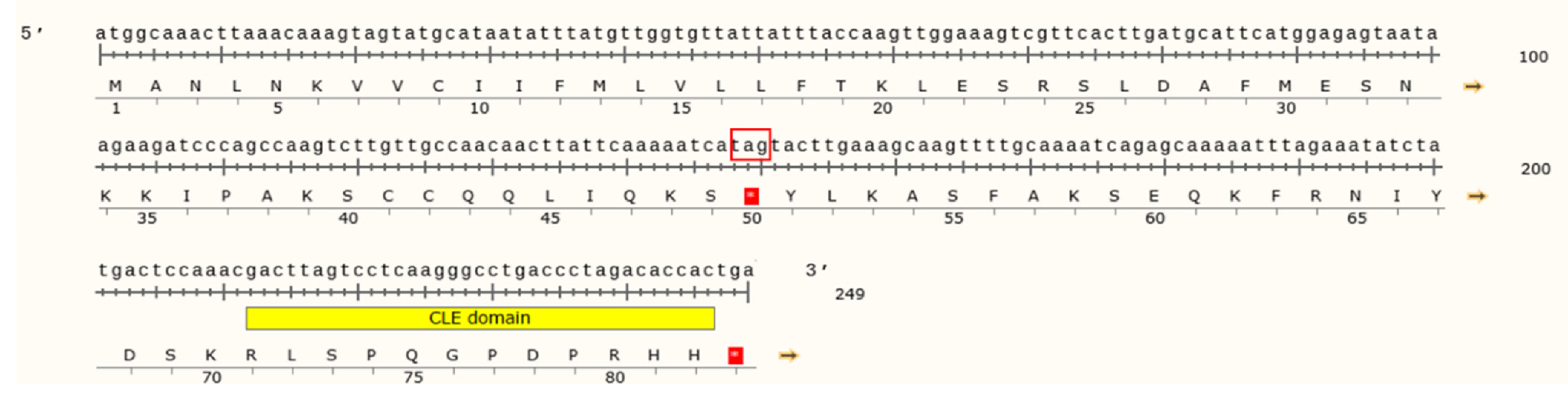 Agronomy 12 00842 g002