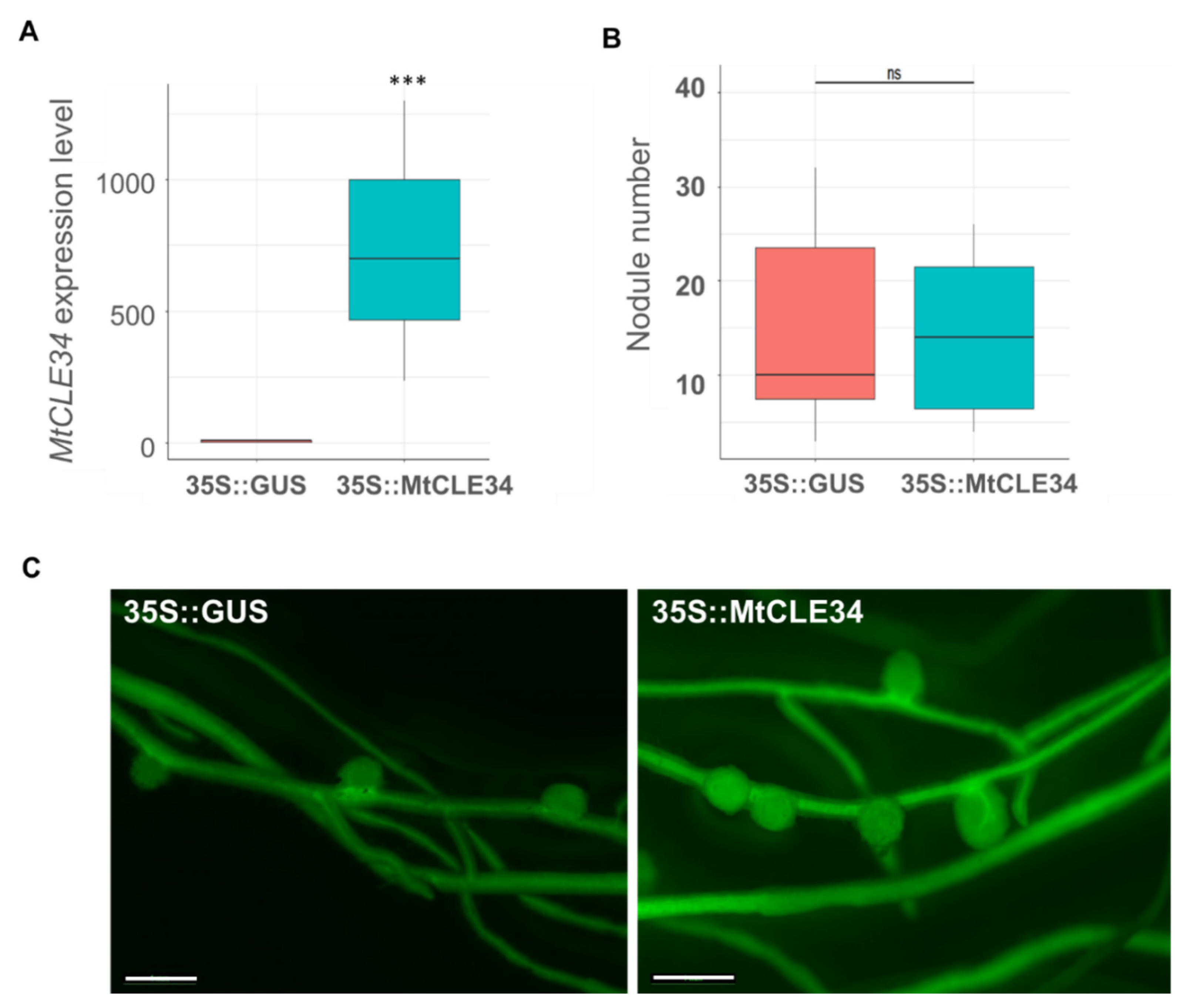 Agronomy 12 00842 g004