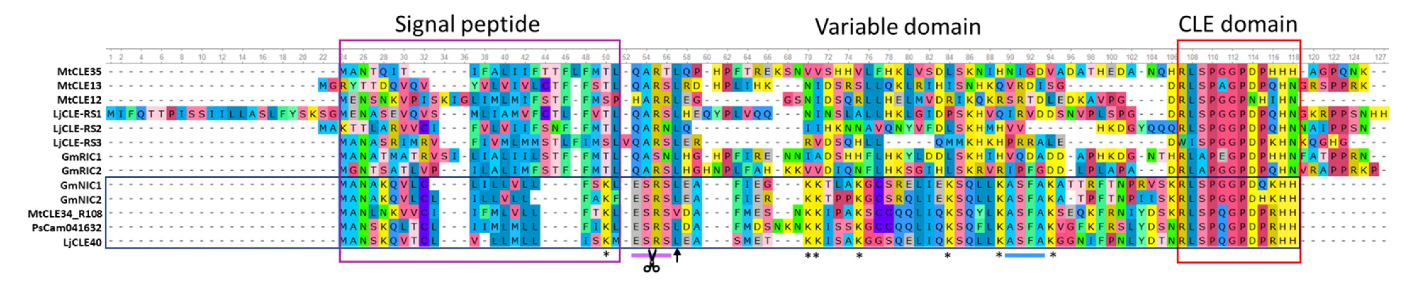 Agronomy 12 00842 g005