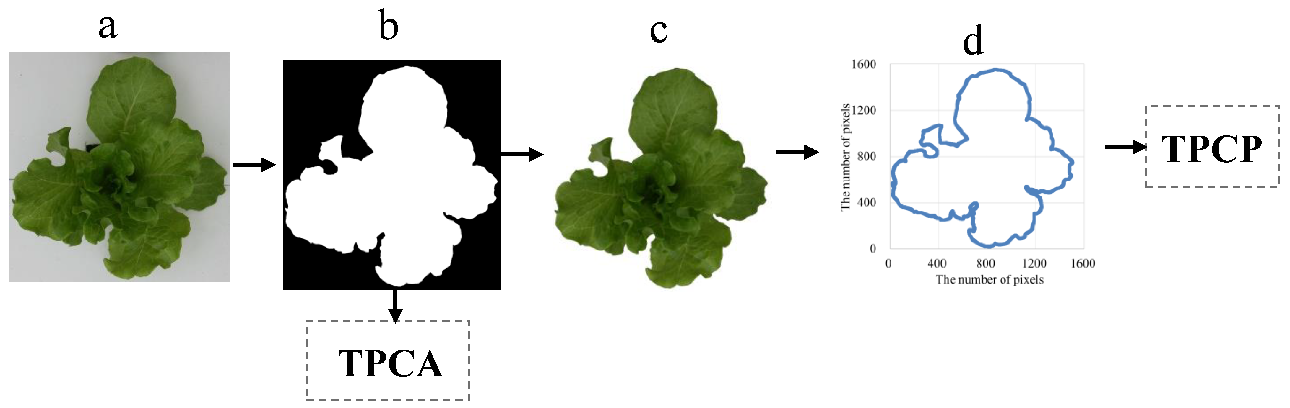 Agronomy 12 00860 g001