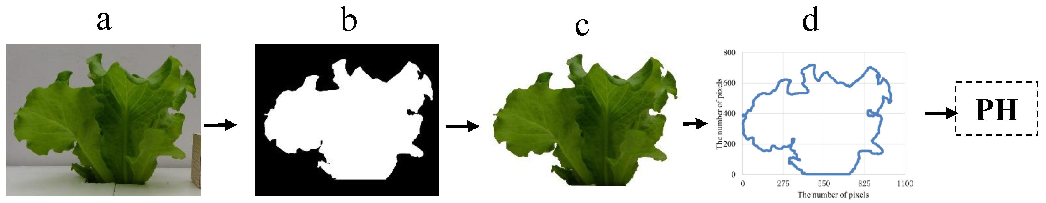 Agronomy 12 00860 g002