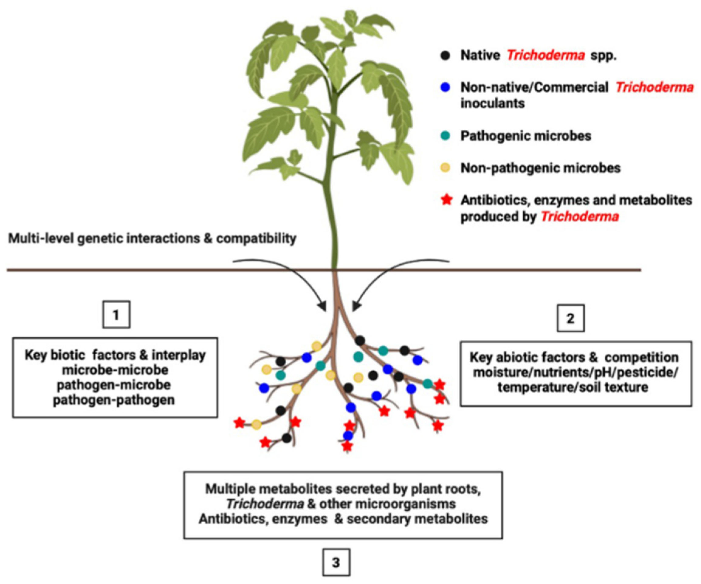 Agronomy 12 00900 g002 Agronomy 12 00900 g002