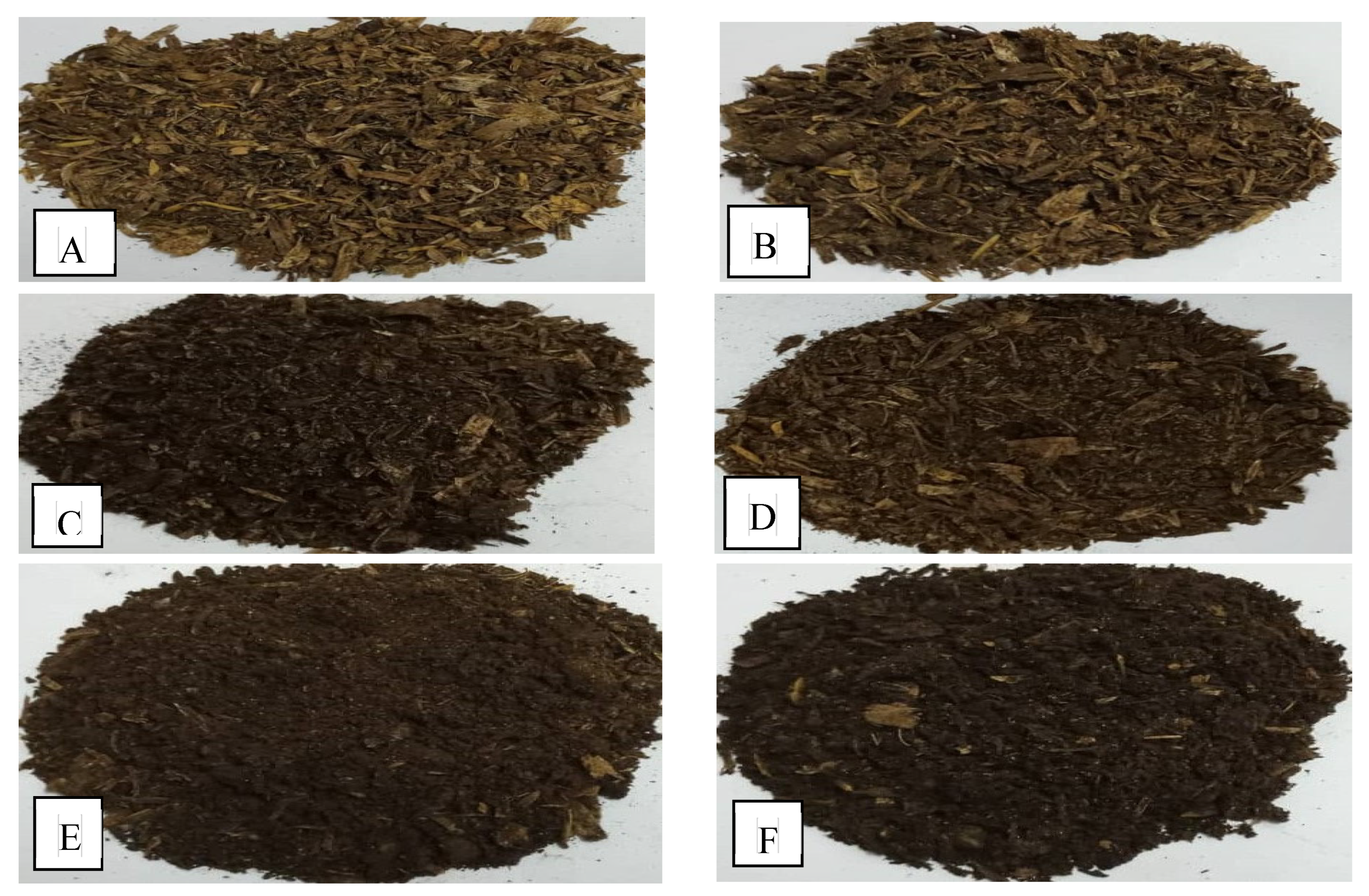 Neem and Karanja Mixed 50/50 – BuildASoil