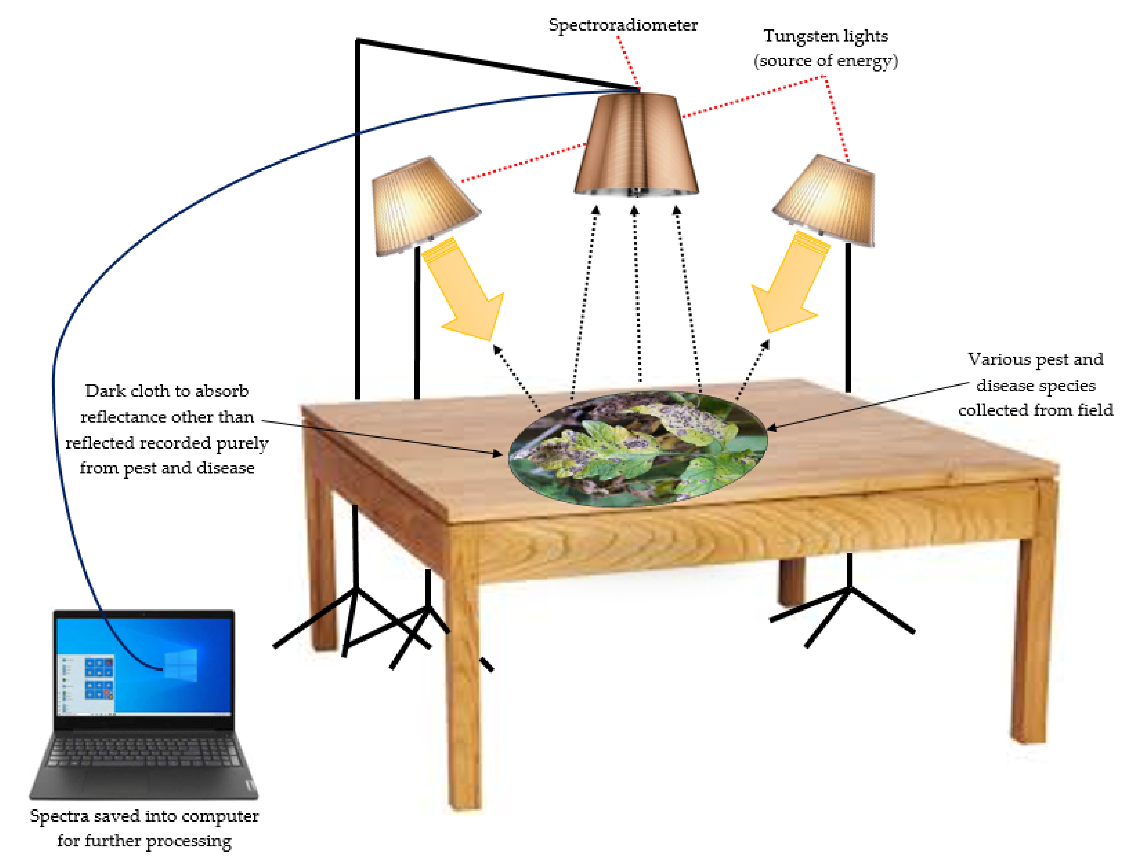 Agronomy 12 00967 g007 Agronomy 12 00967 g007