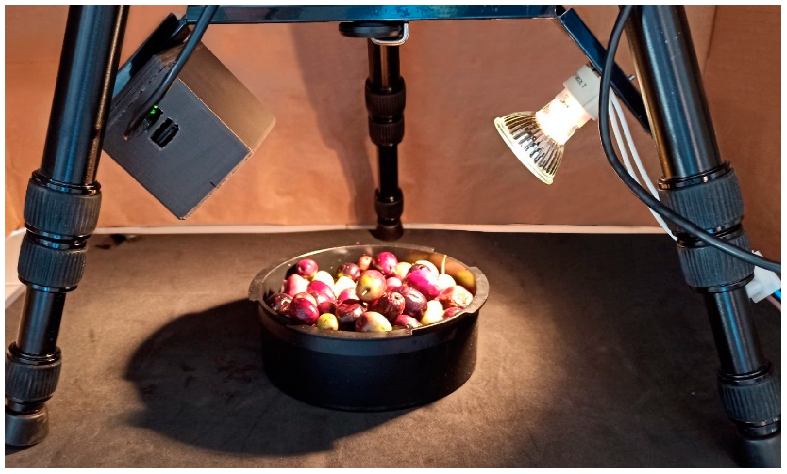 Agronomy 12 00979 g002