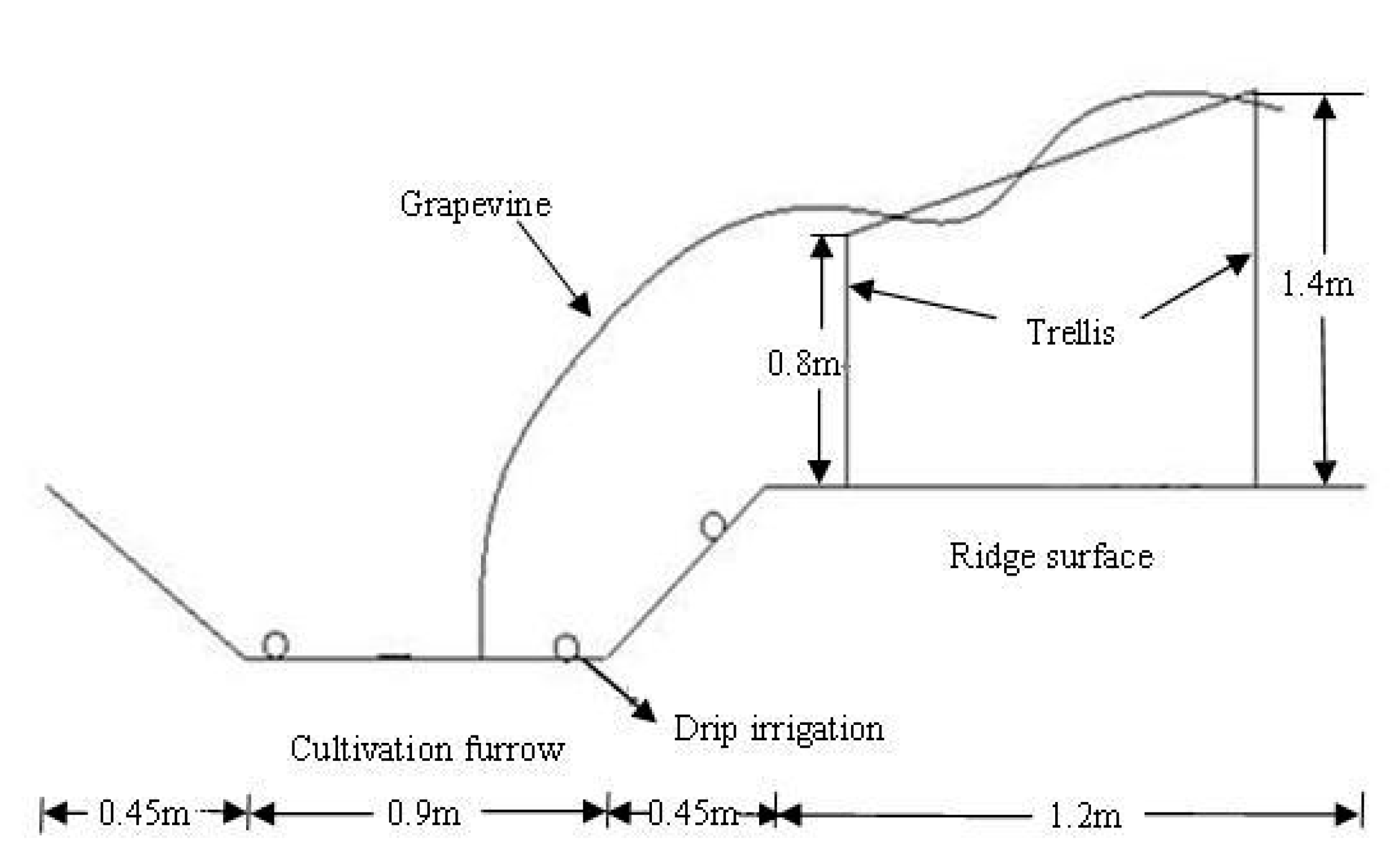 Agronomy 12 00988 g002