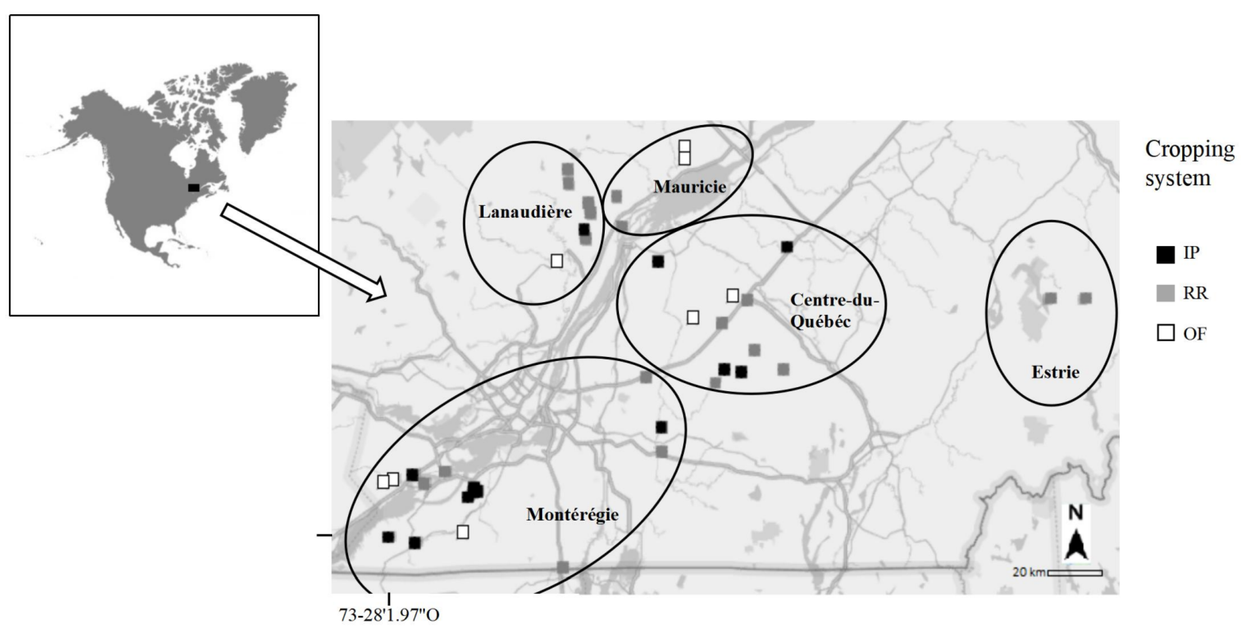 Agronomy 12 00992 g001