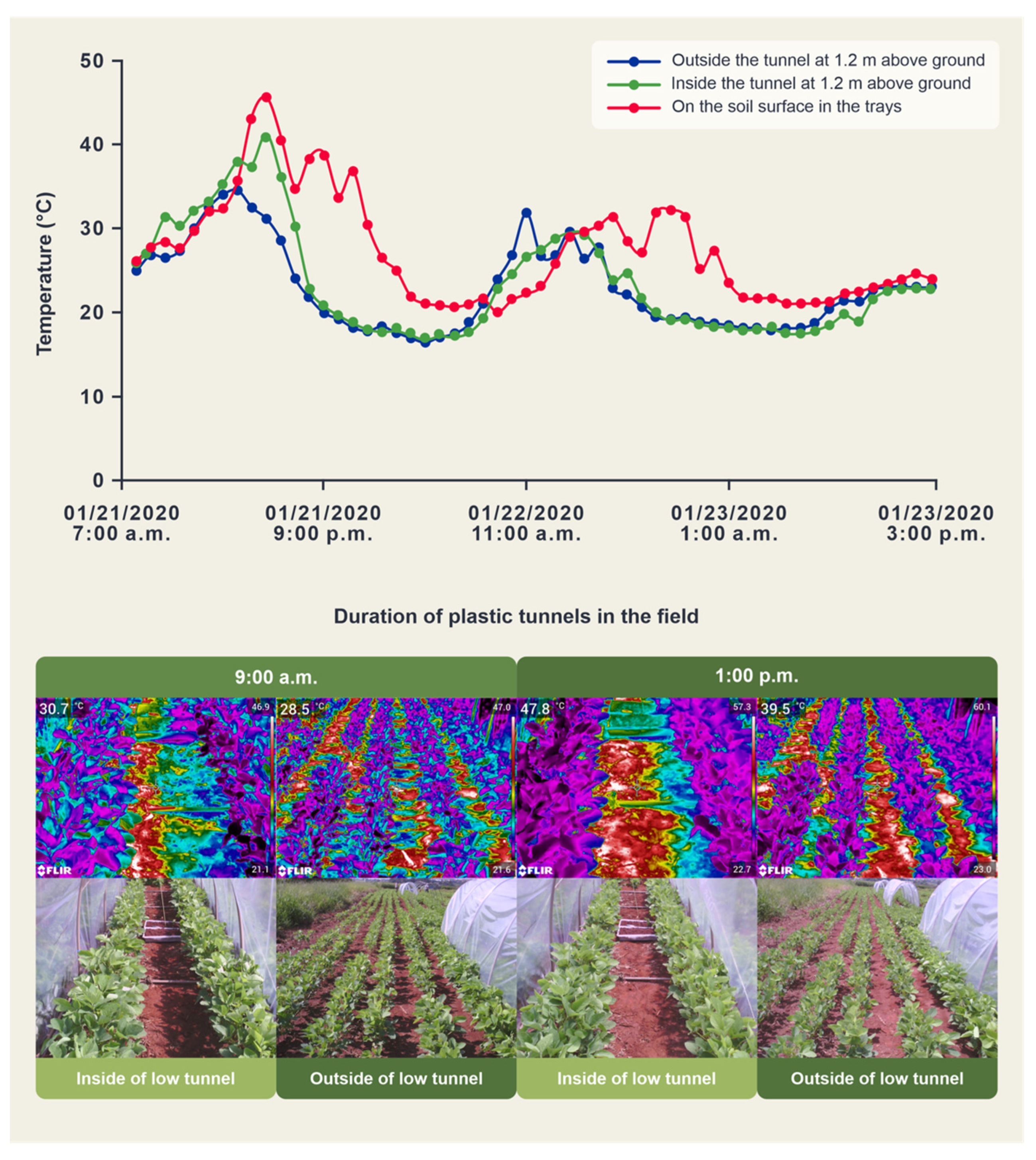 Agronomy 12 01001 g001