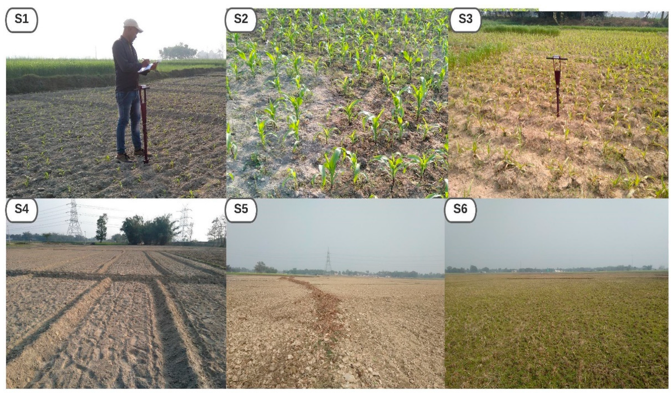 Agronomy 12 01045 g002