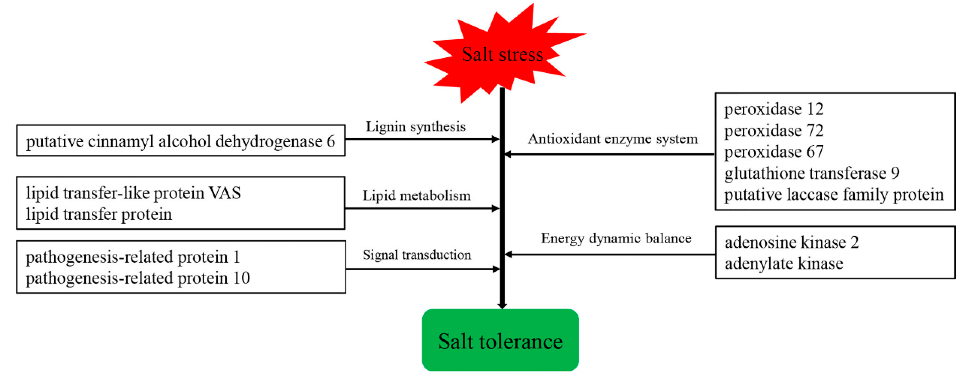 Agronomy 12 01053 g005