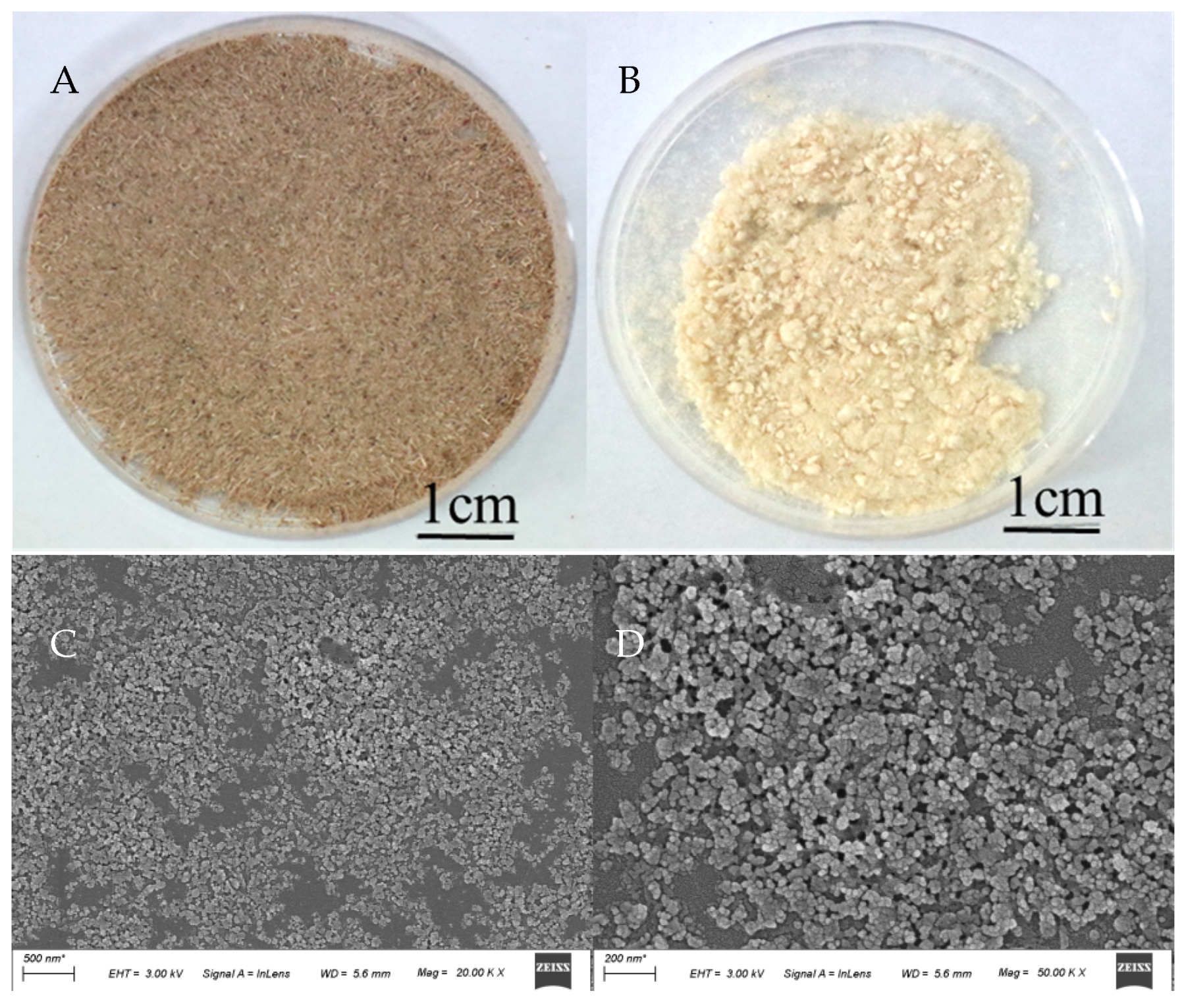 Agronomy 12 01057 g009
