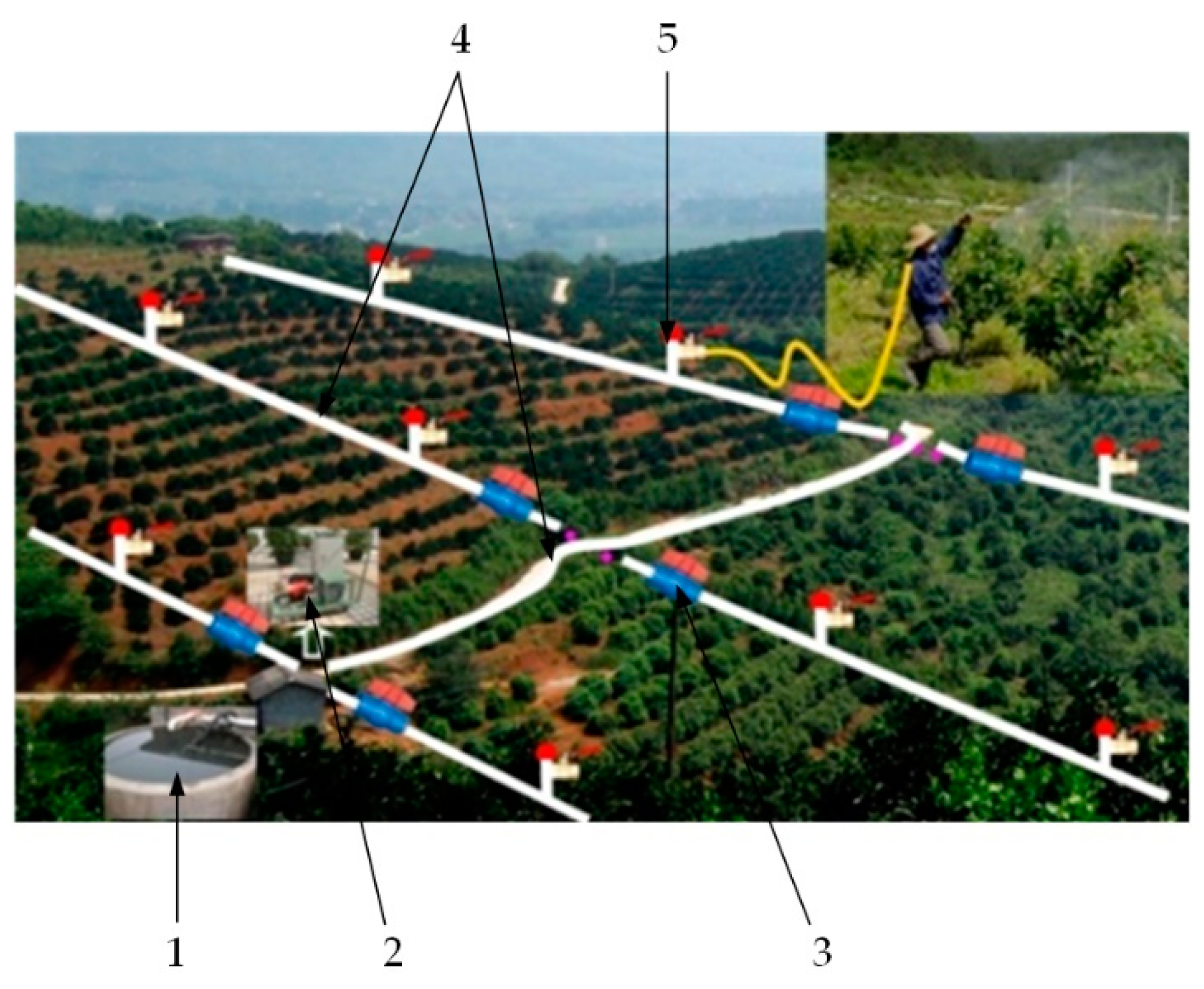 Agronomy 12 01059 g001