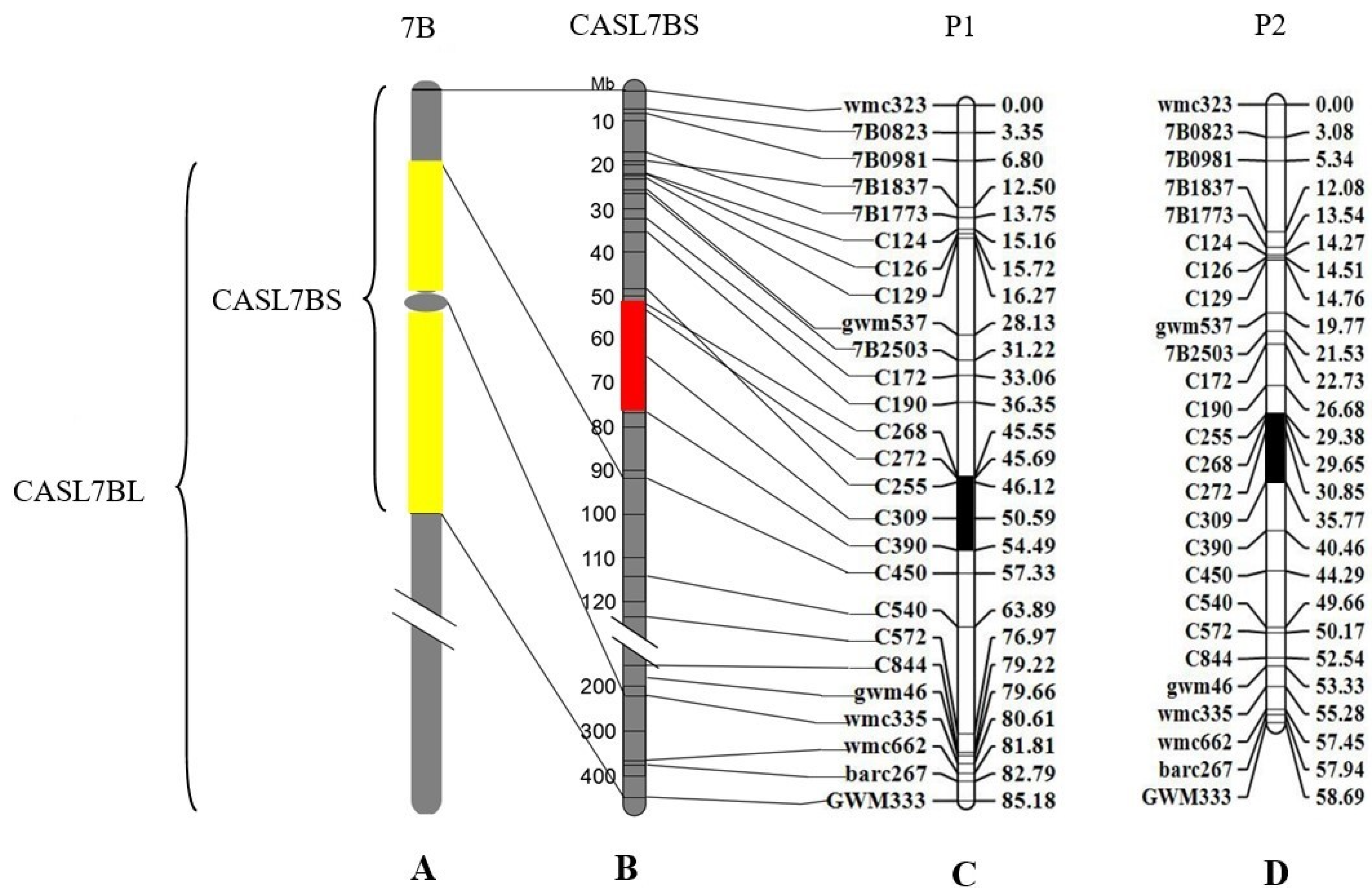 Agronomy 12 01089 g008