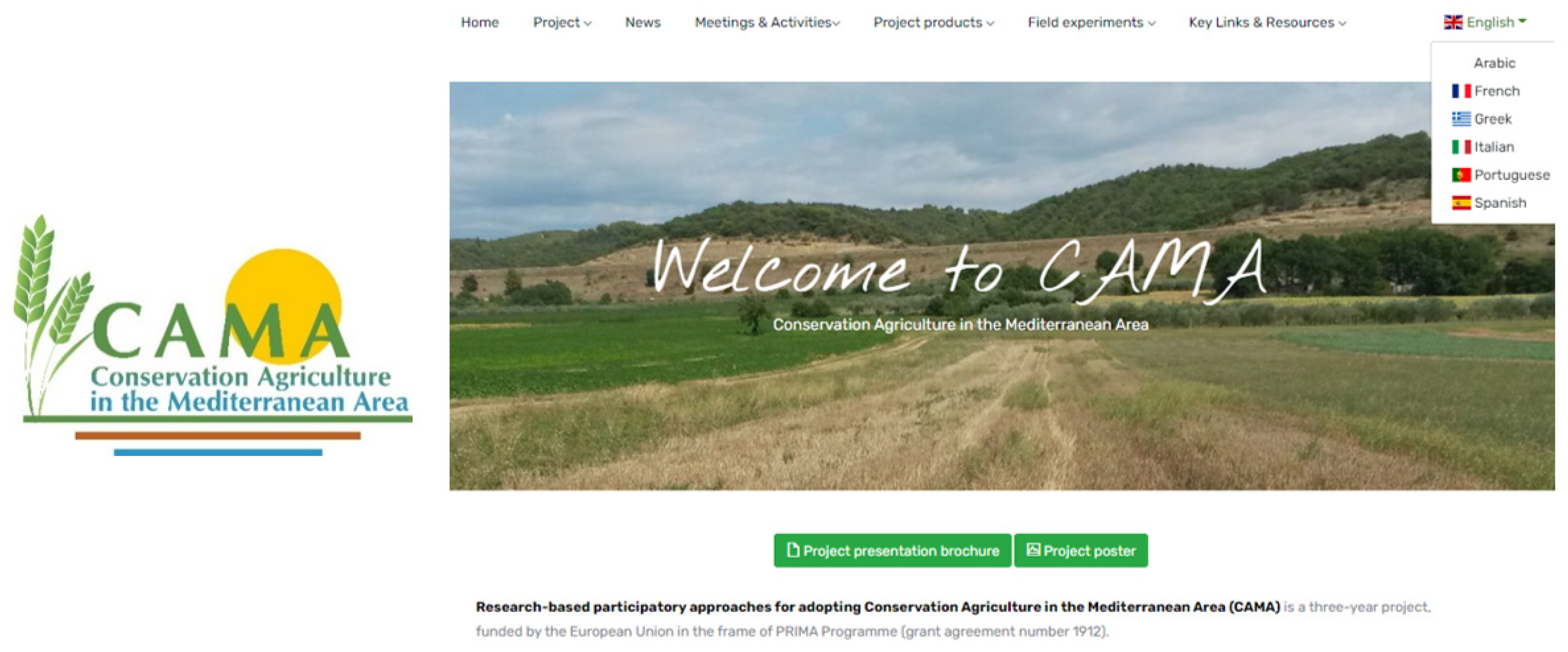 Agronomy 12 01112 g008