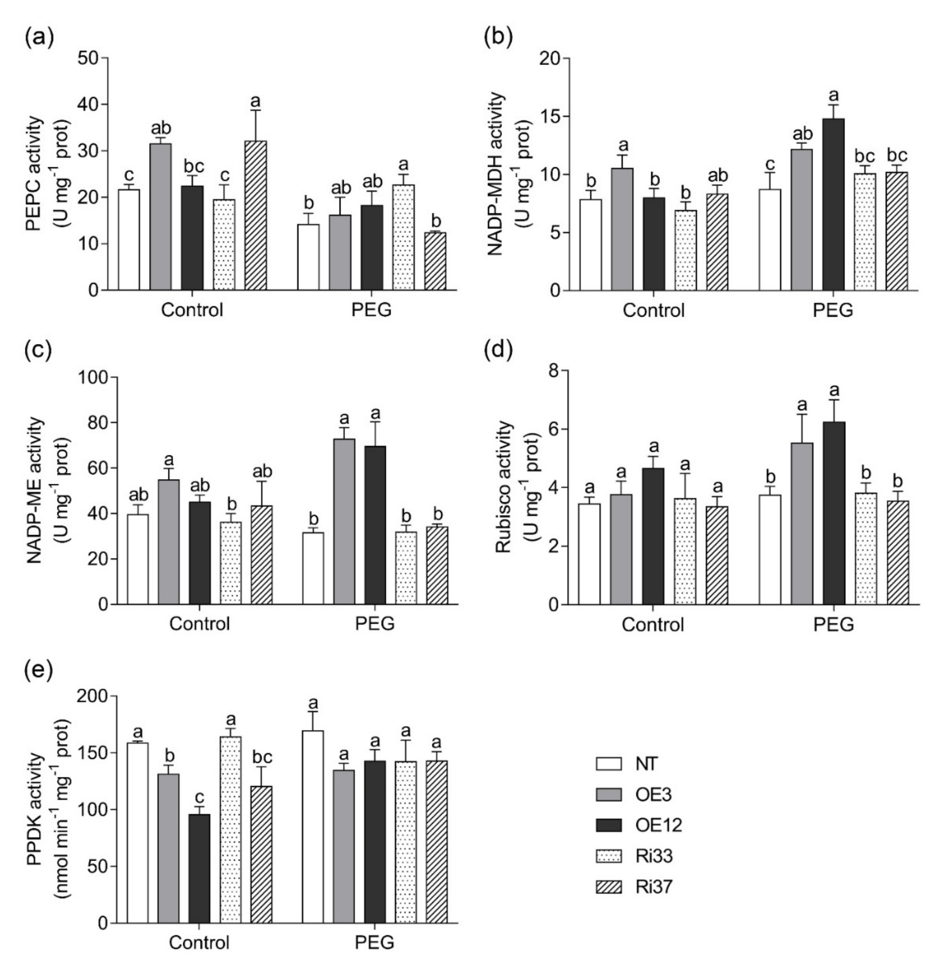 Agronomy 12 01149 g005