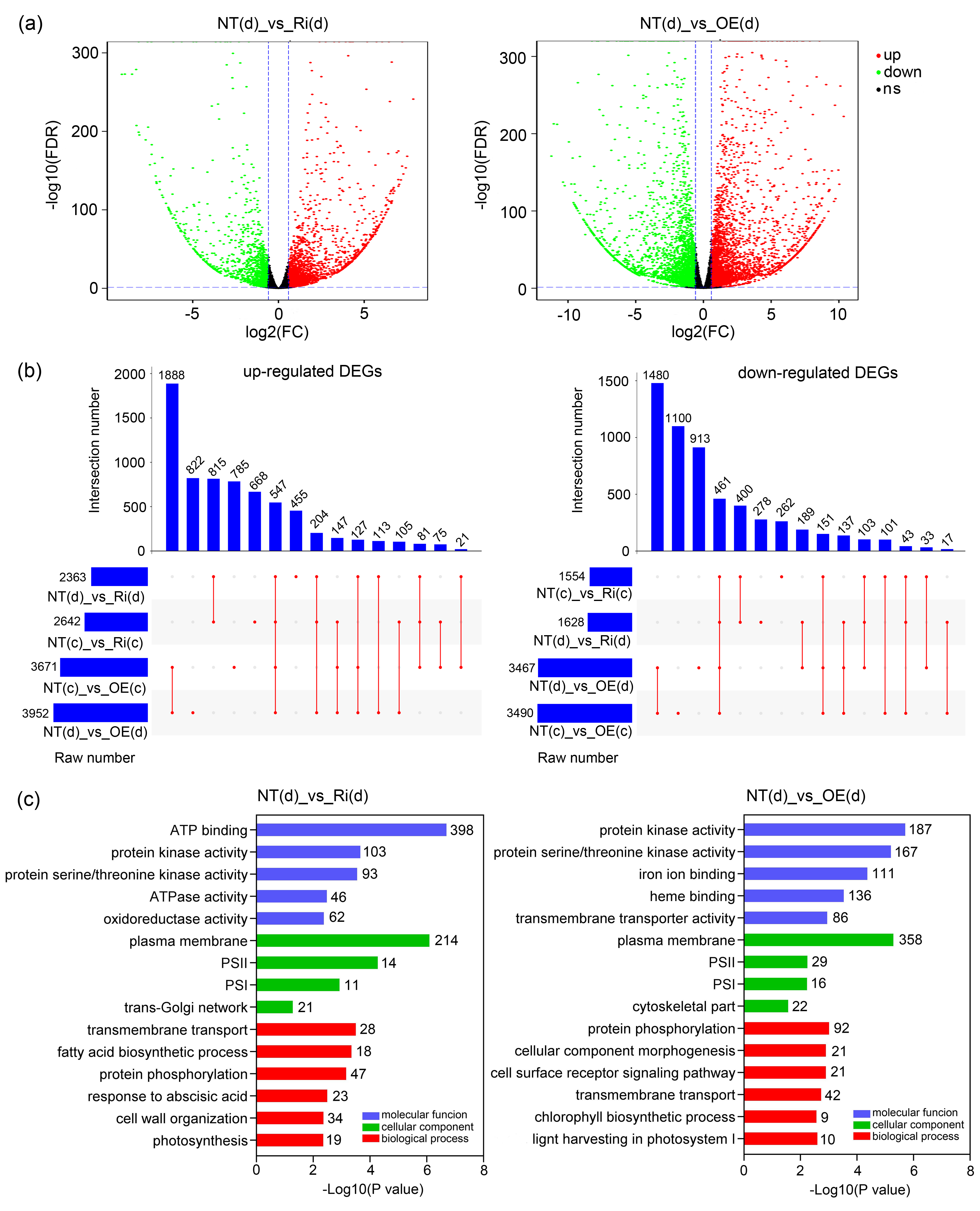 Agronomy 12 01149 g007