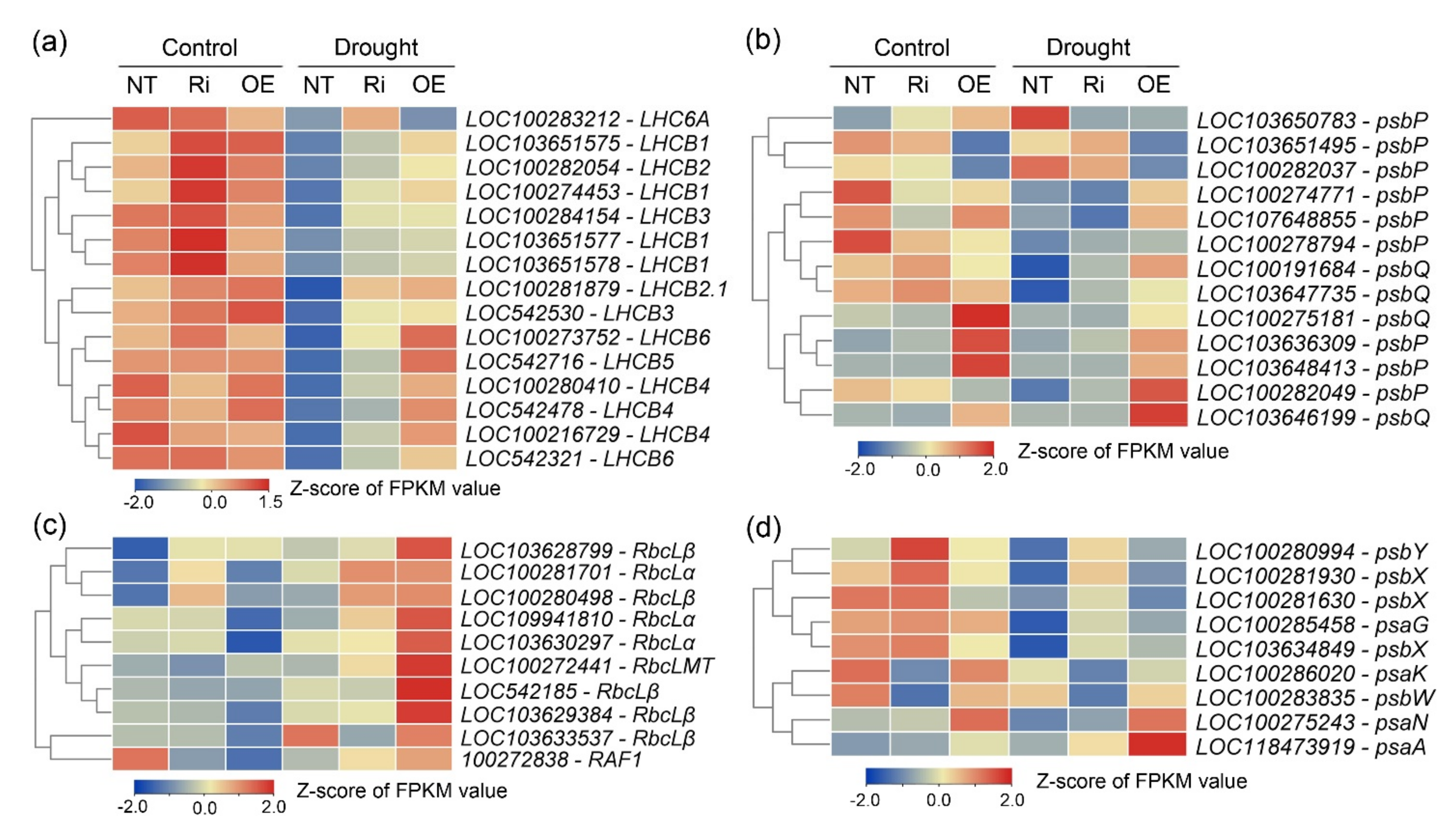 Agronomy 12 01149 g008