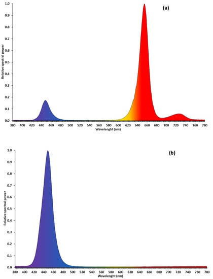 Agronomy Free Full Text Effects Of Greenhouse Vs Growth Chamber And Different Blue Light Percentages On The Growth Performance And Quality Of Broccoli Microgreens Html