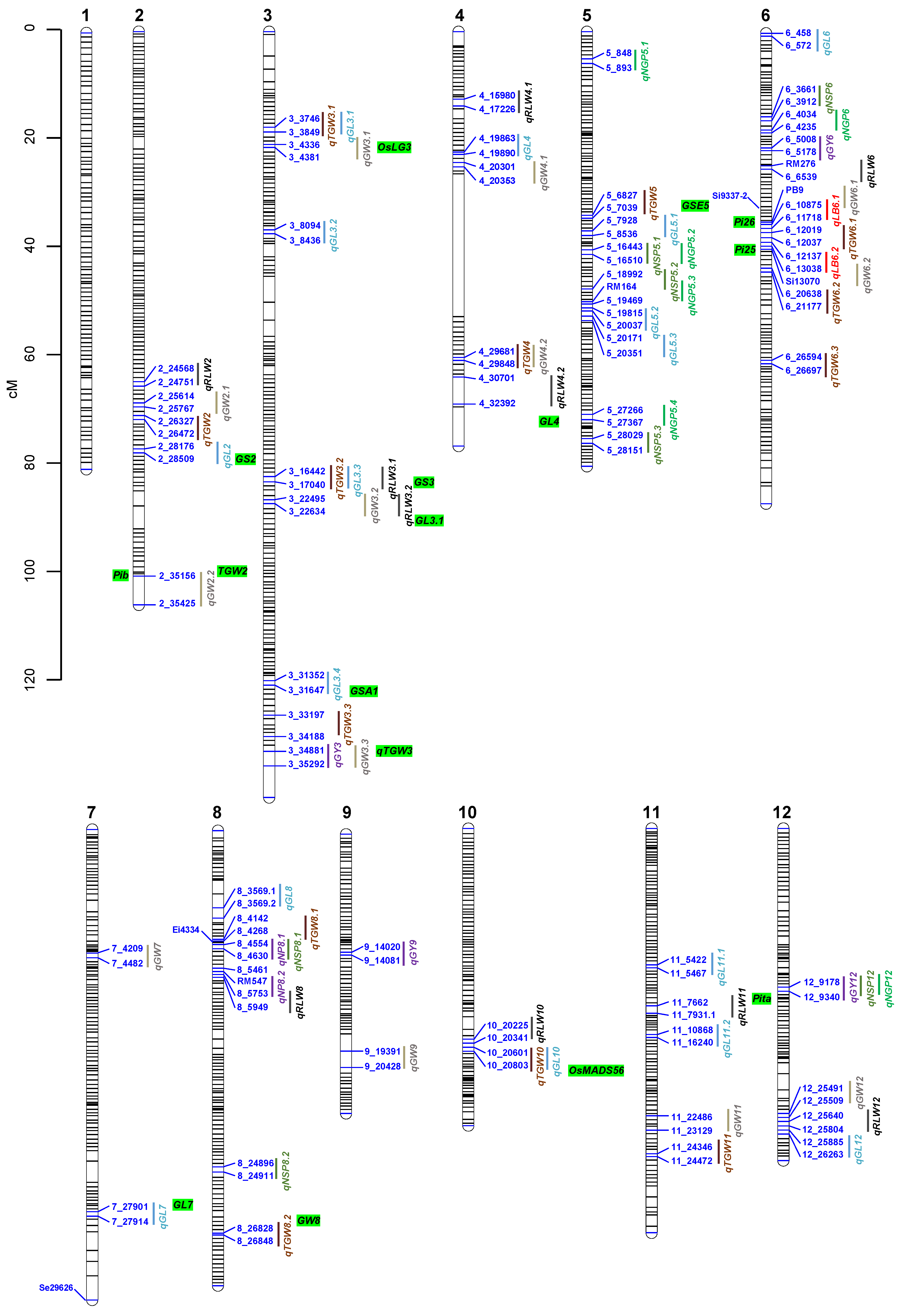 Agronomy 12 01173 g002