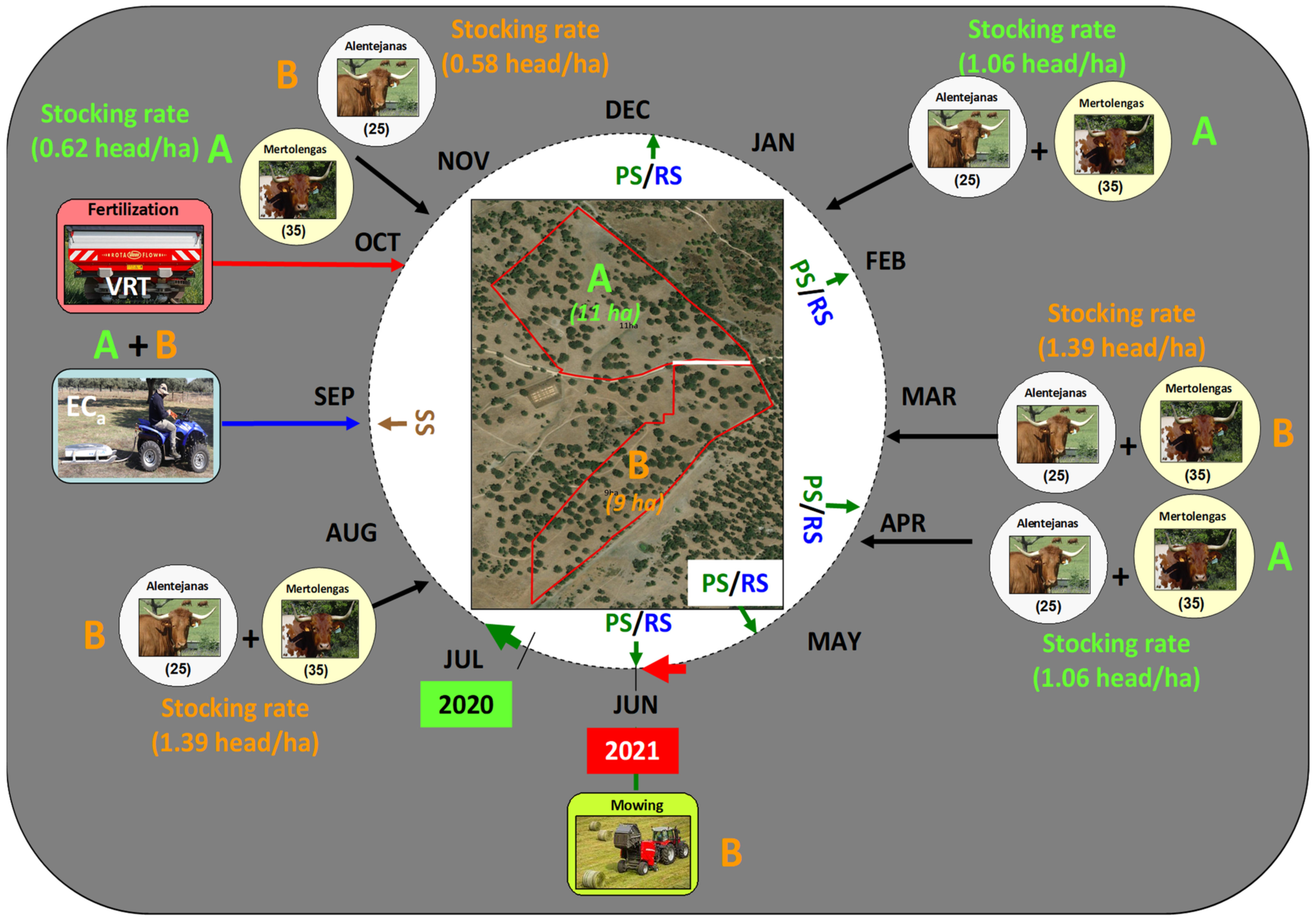 Agronomy 12 01212 g004