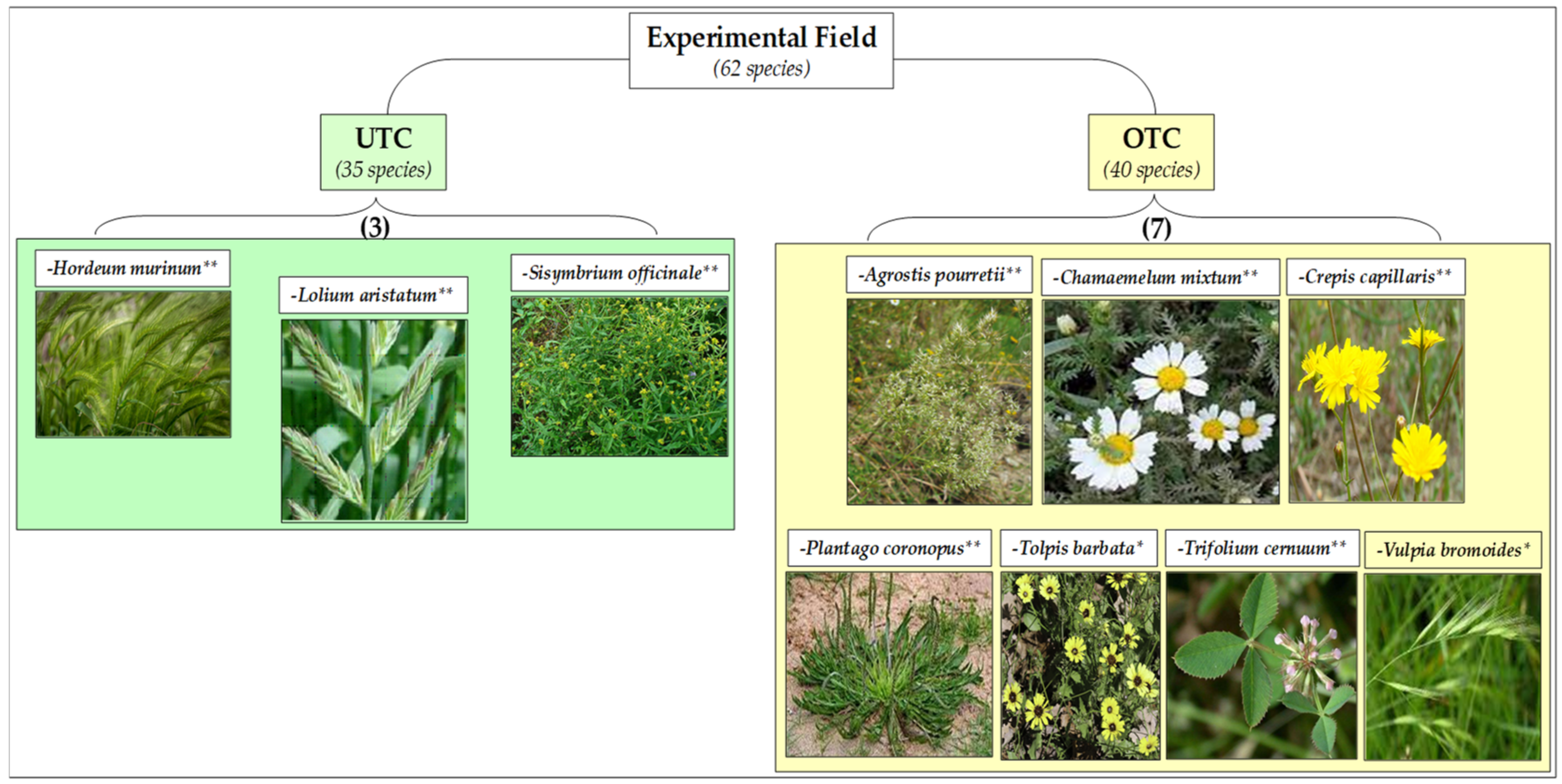 Agronomy 12 01212 g014