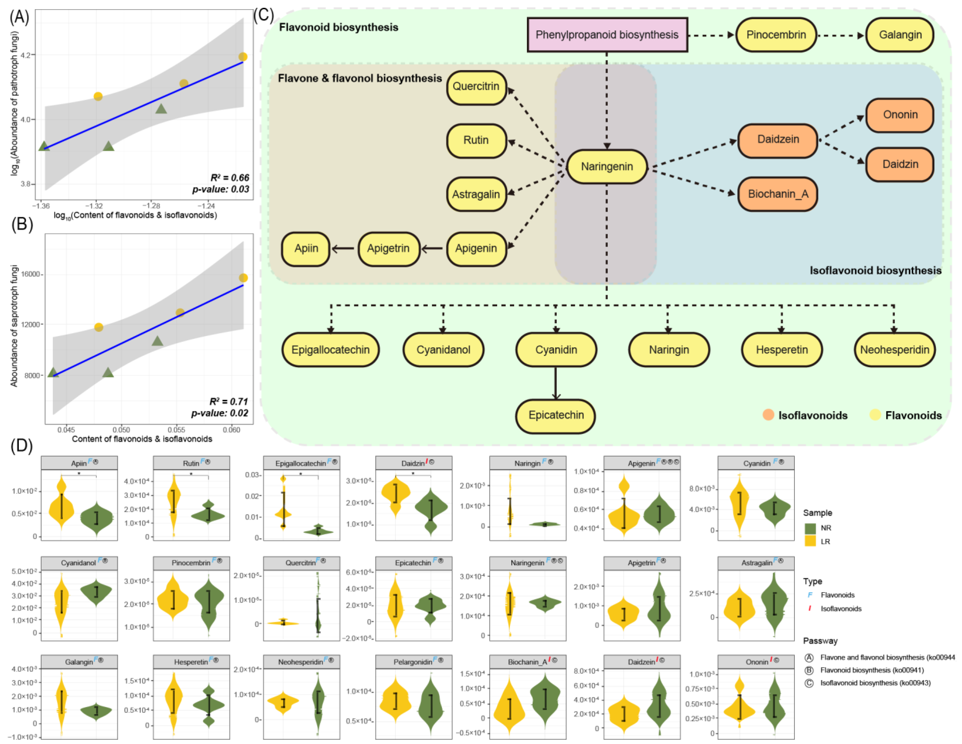 Agronomy 12 01263 g010