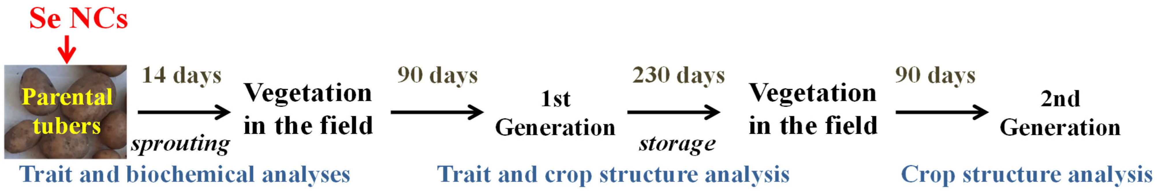 Agronomy 12 01281 g001