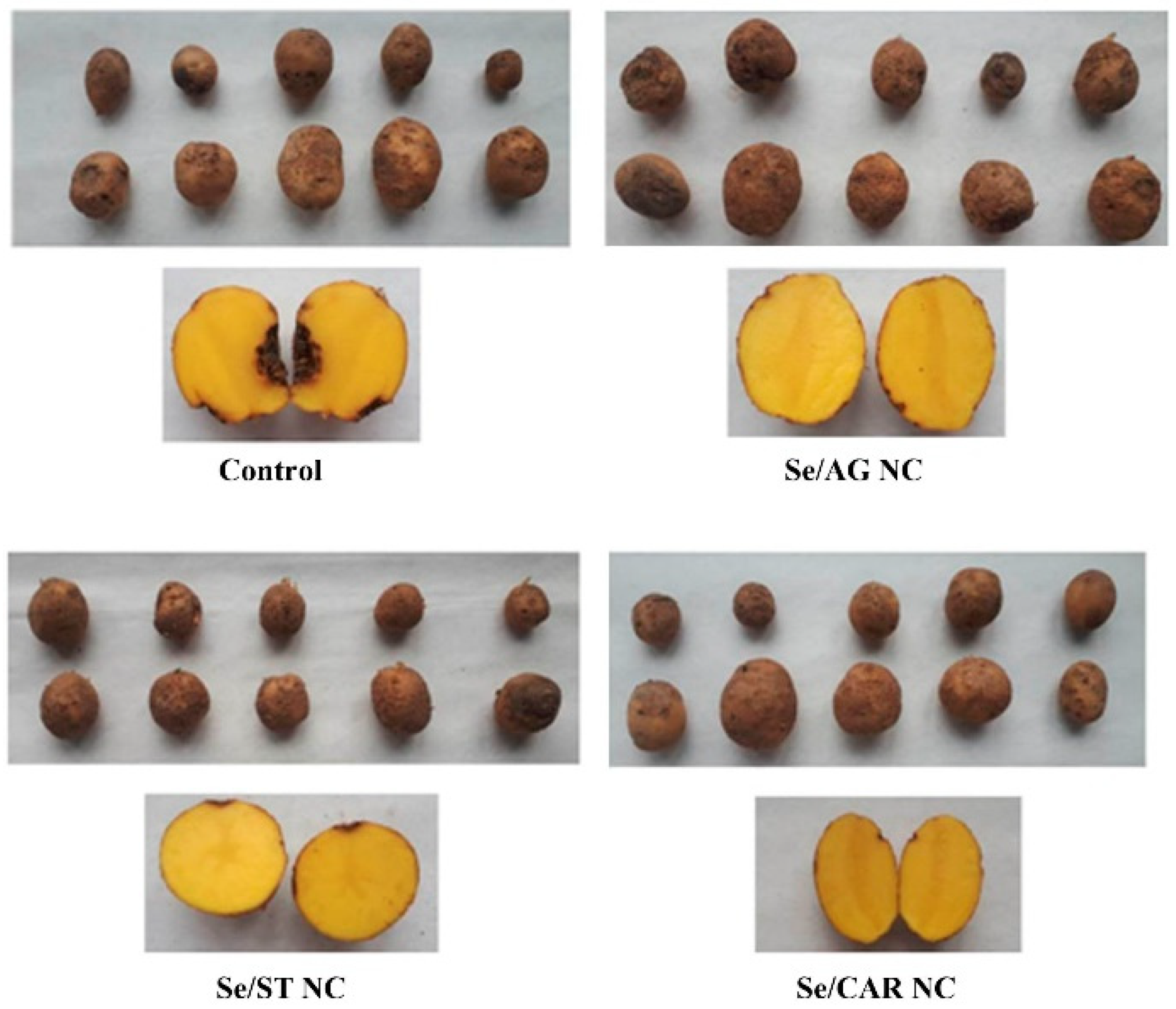 Agronomy 12 01281 g004
