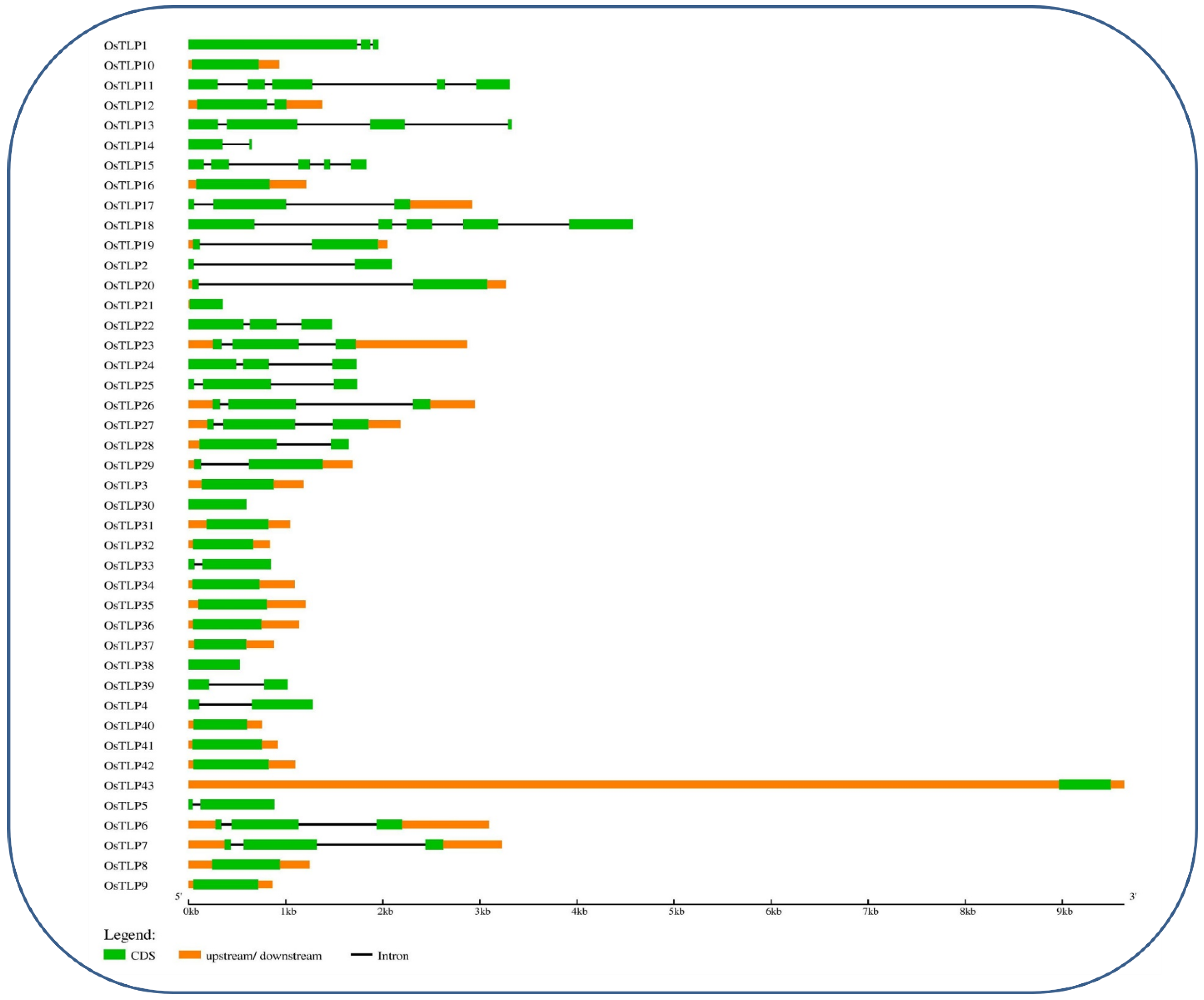 Agronomy 12 01297 g002