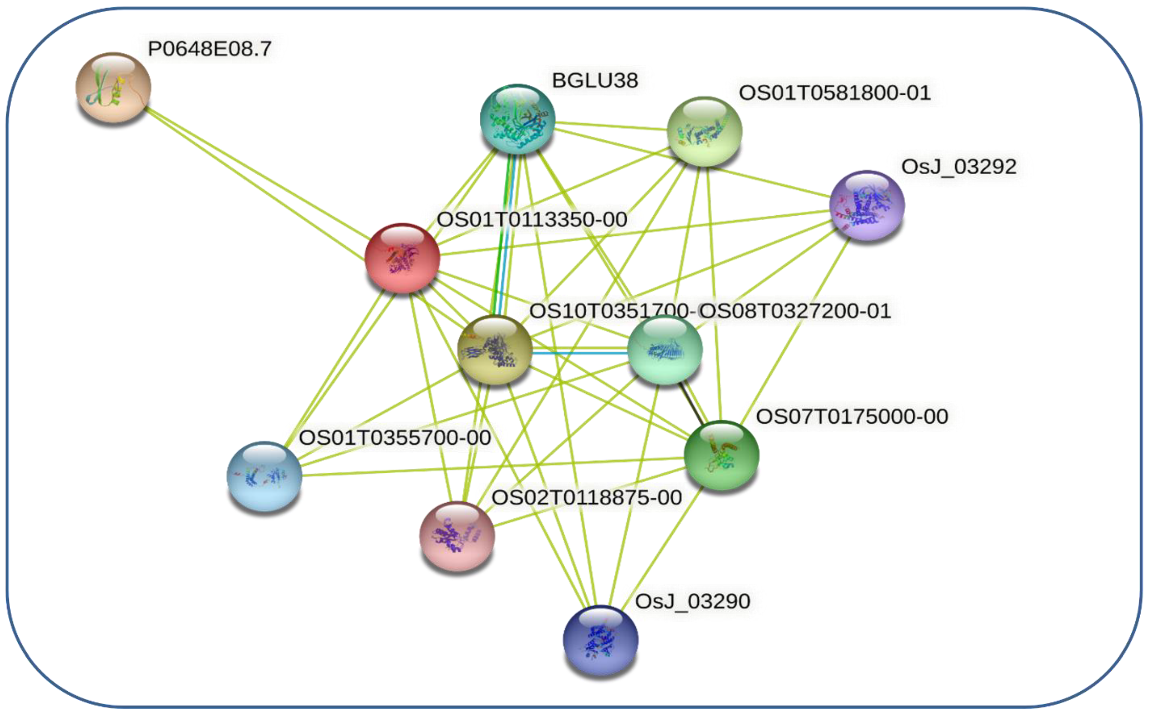 Agronomy 12 01297 g004