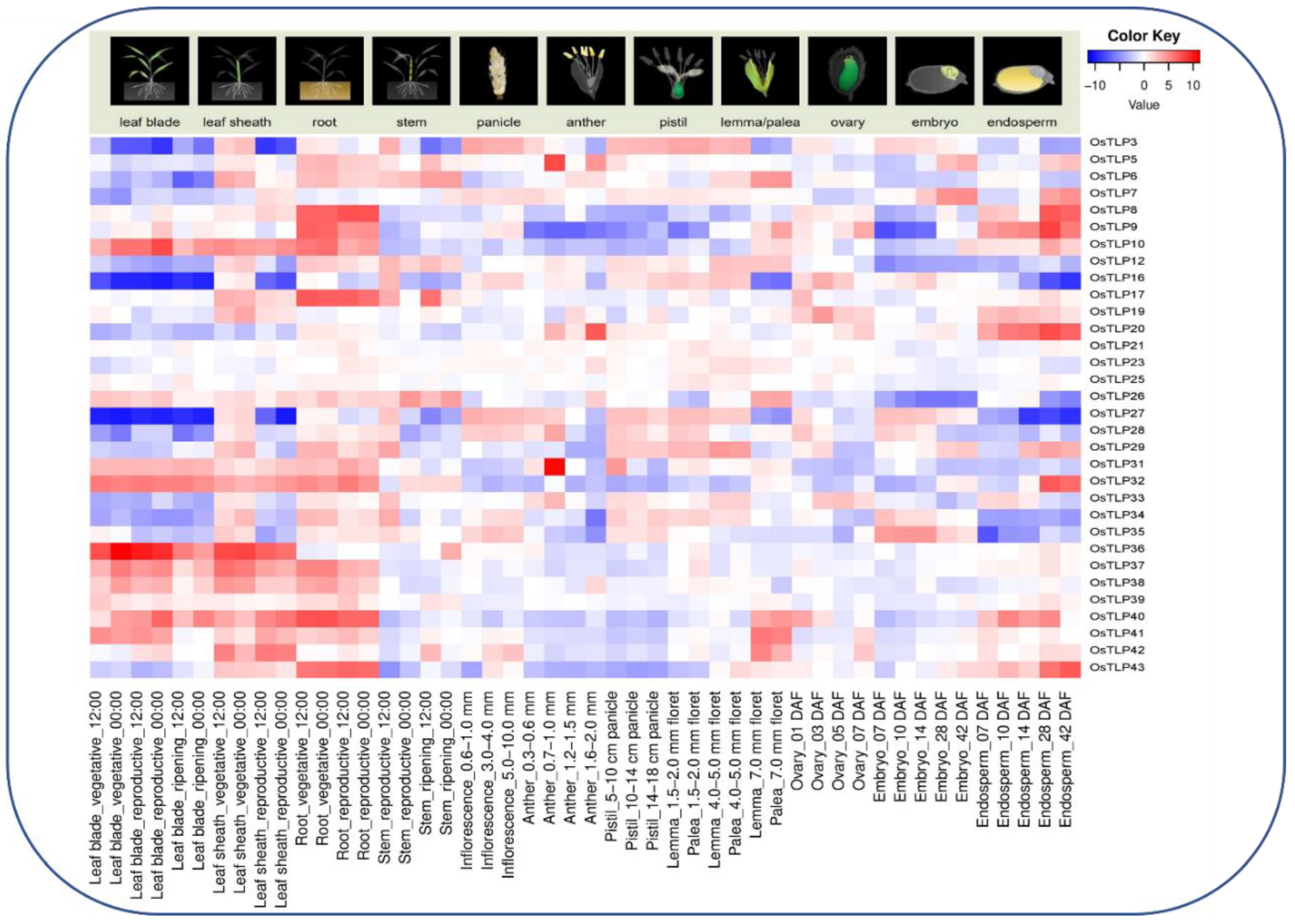 Agronomy 12 01297 g006
