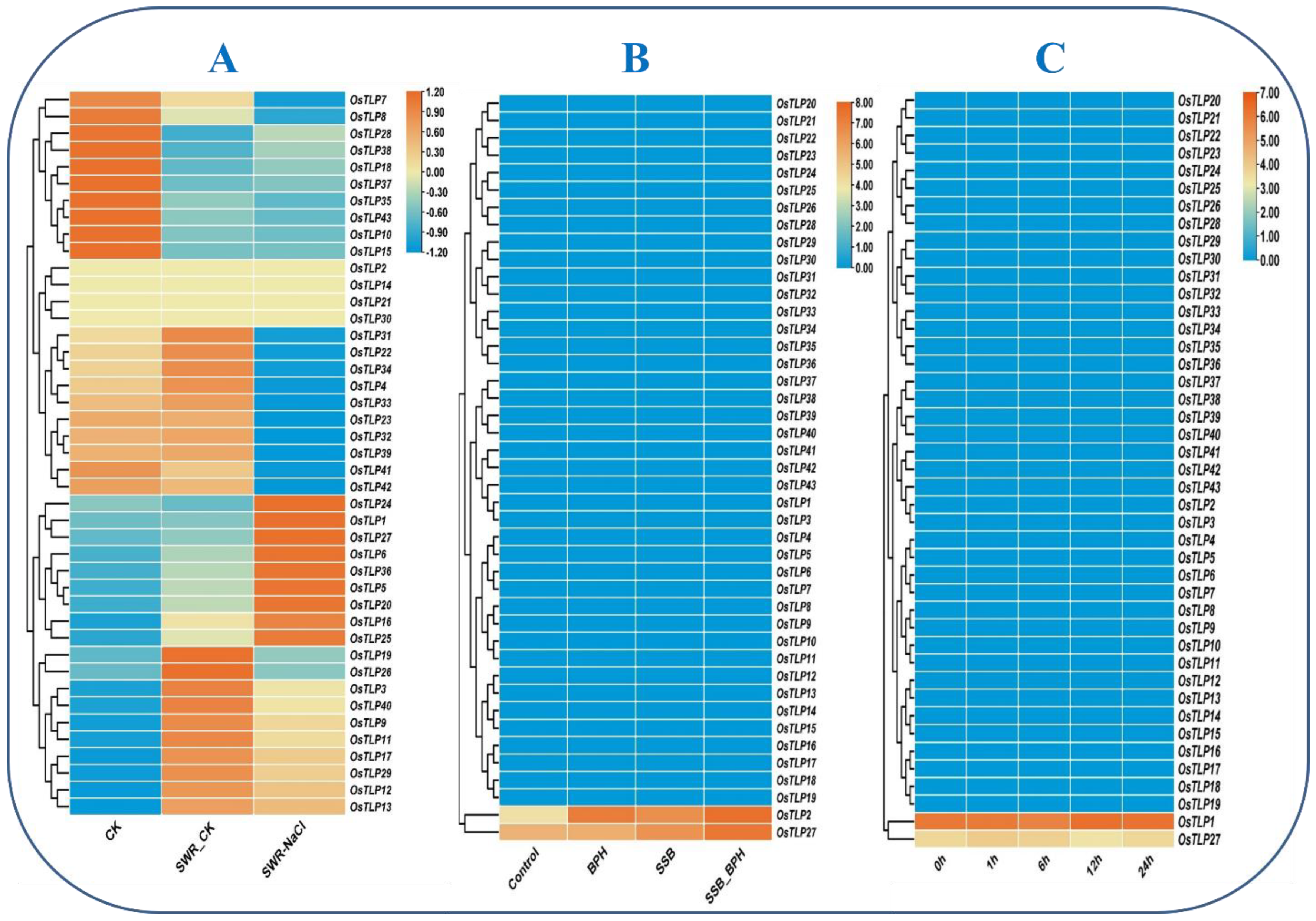 Agronomy 12 01297 g007