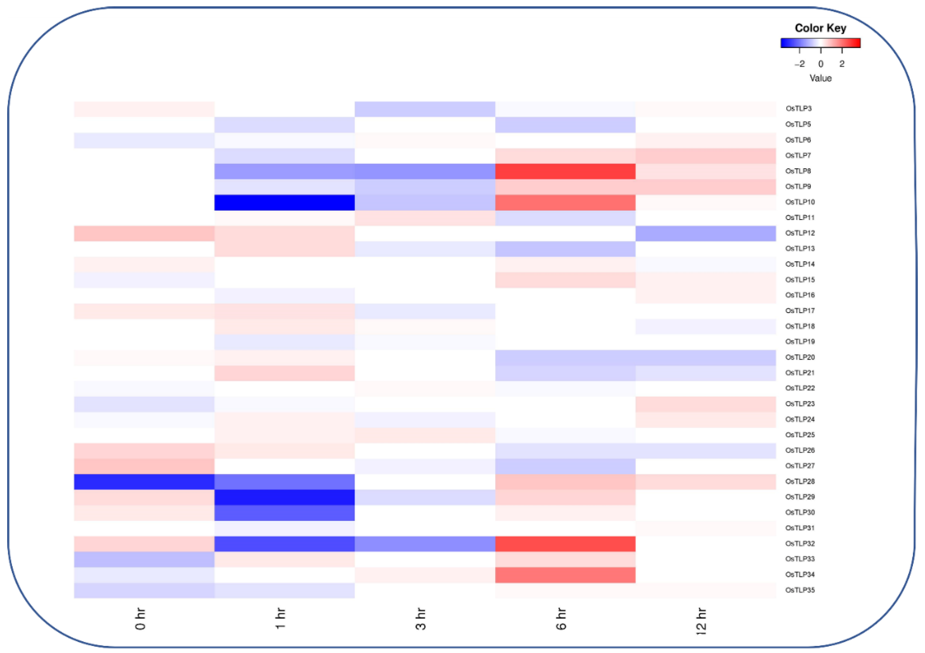 Agronomy 12 01297 g008