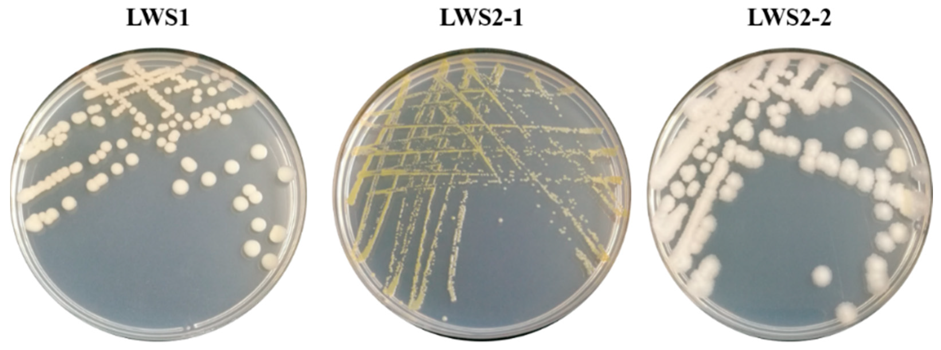 Agronomy 12 01301 g001 Agronomy 12 01301 g001