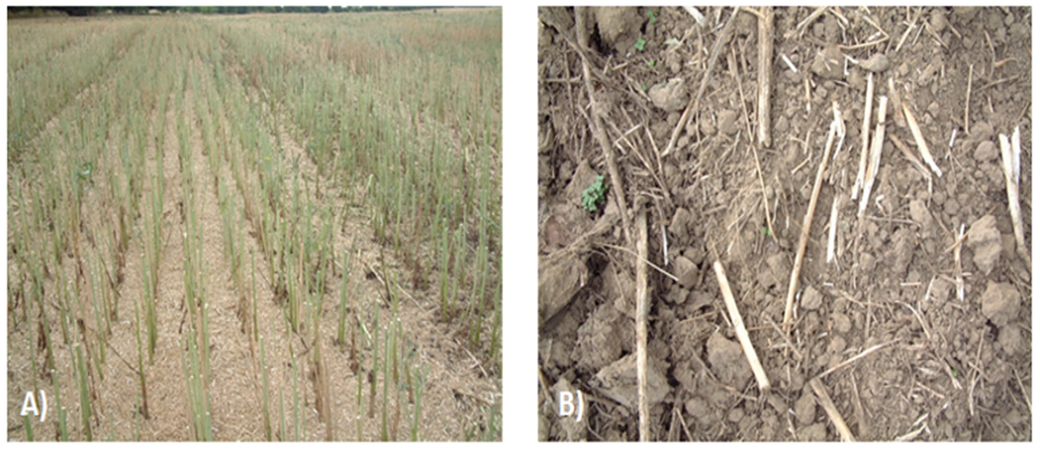 Agronomy 12 01305 sch002