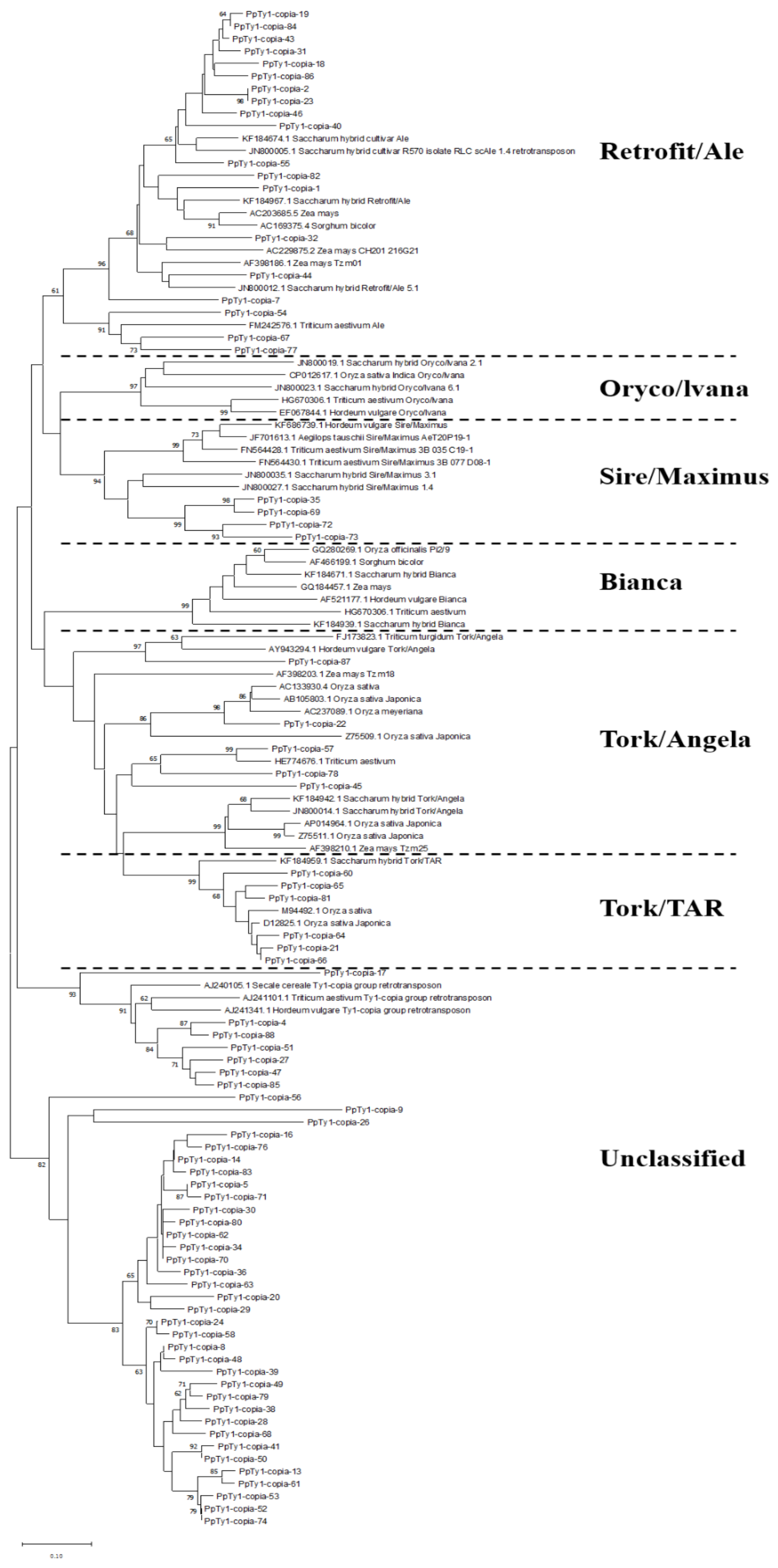 Agronomy 12 01312 g002